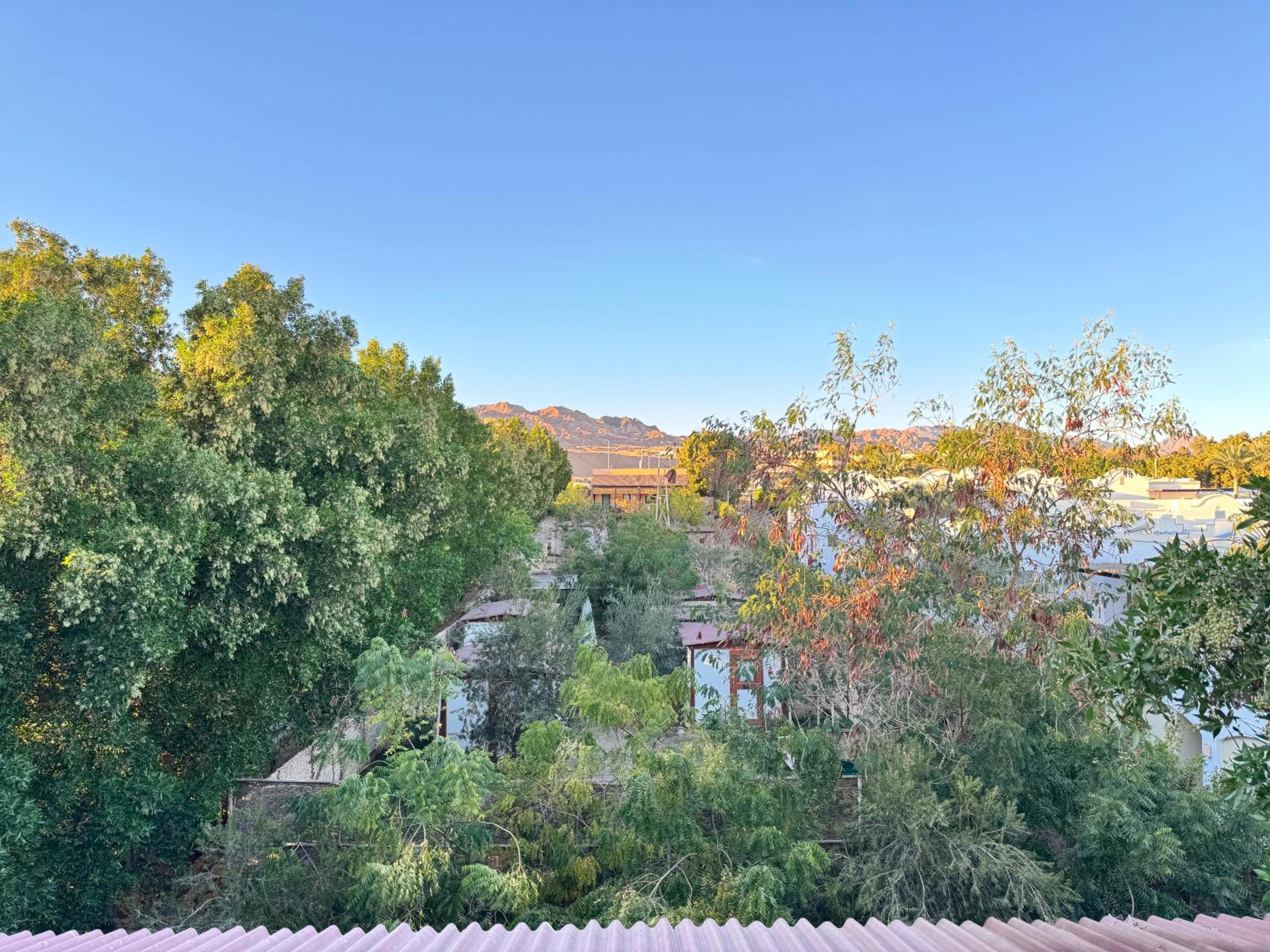 Deluxe Bungalow with Garden View - Photo 2