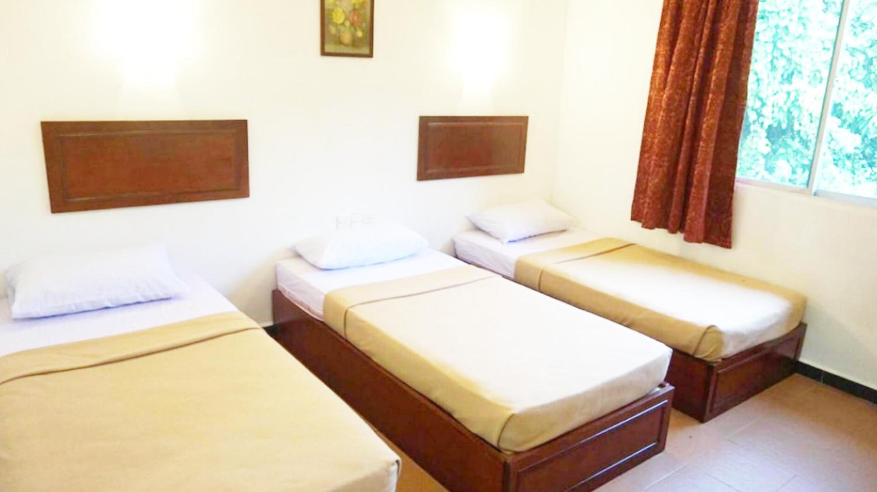 Triple Room photo 2