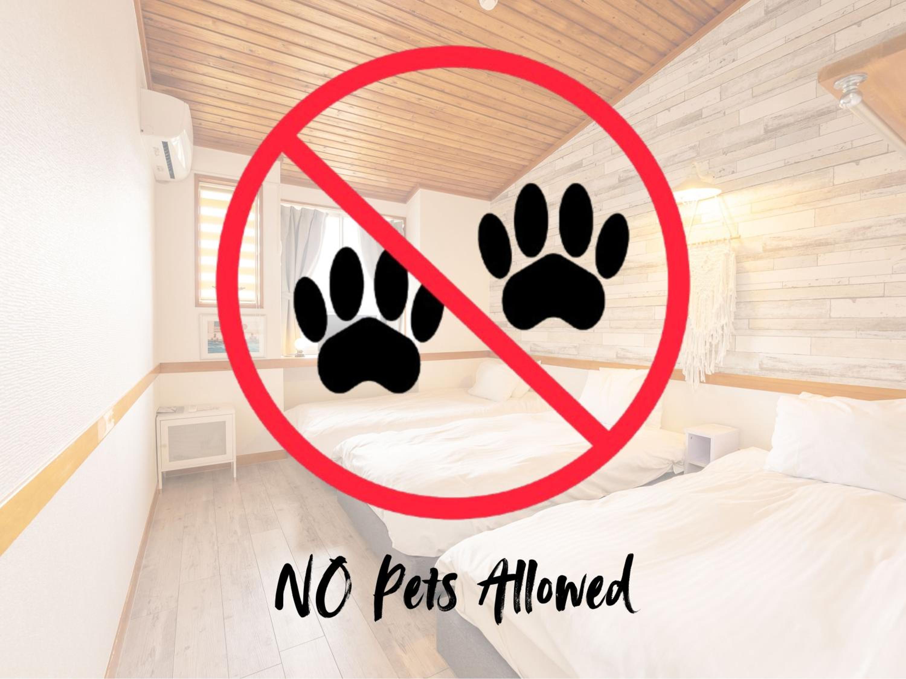 No pets allowed - Triple Room with with Shared Bathroom - Non-Smoking　ペット不可【禁煙】ペンション 3ベットルーム - Photo 2