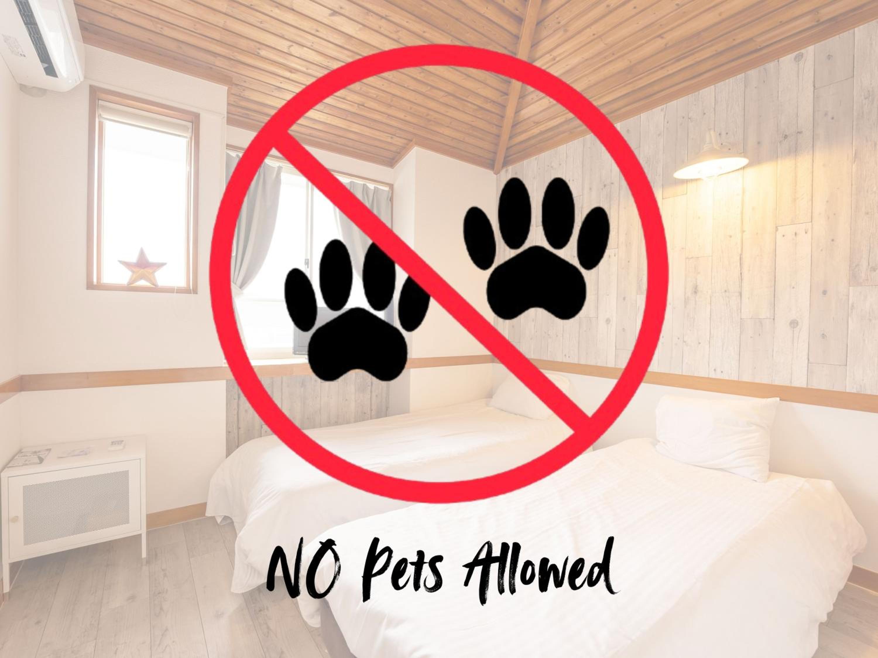 No pets allowed - Twin Room  with Shared Bathroom - Non-Smoking　ペット不可【禁煙】ペンション 2ベットルーム　 - Photo 10