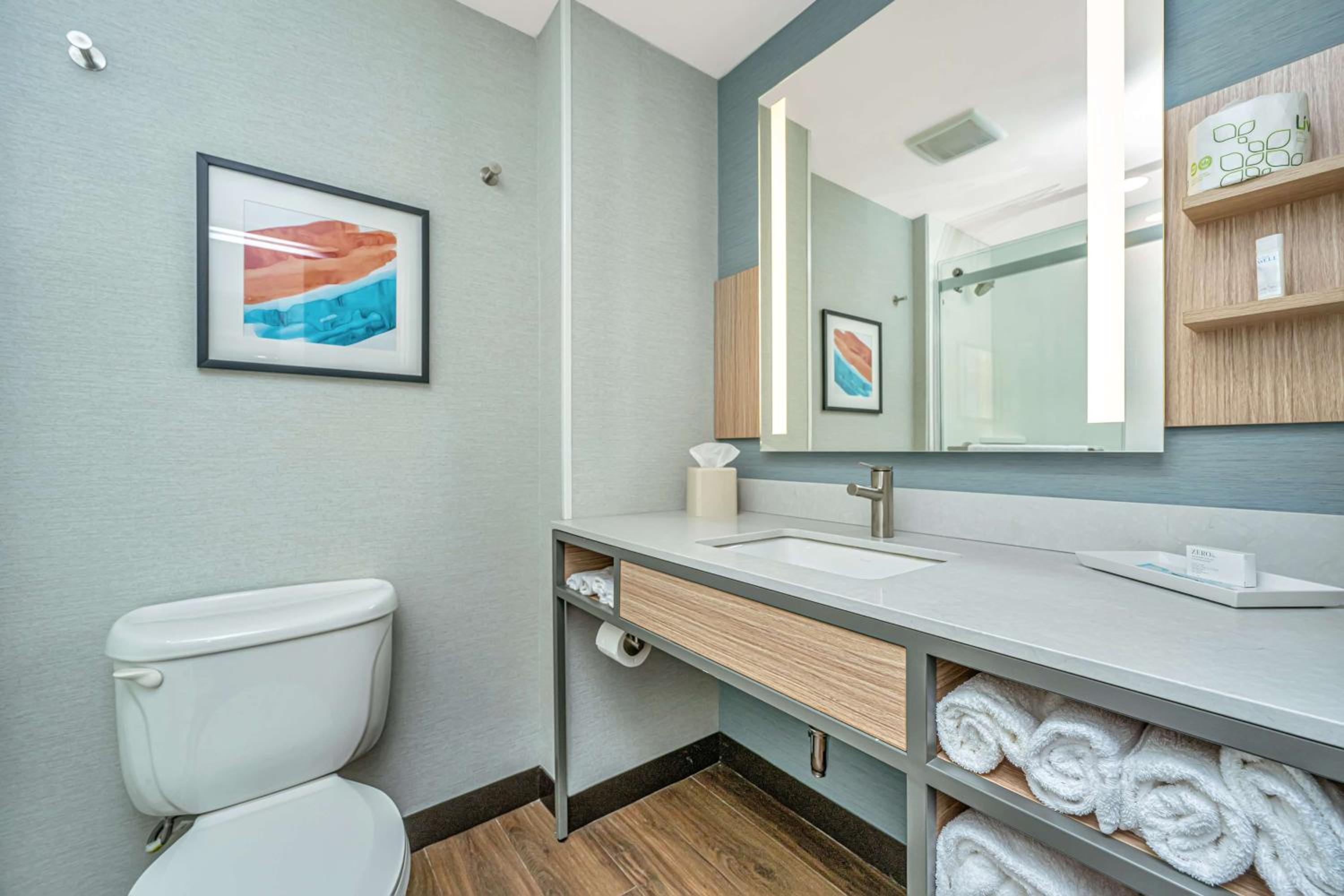 One-Bedroom King Suite with Sofa Bed