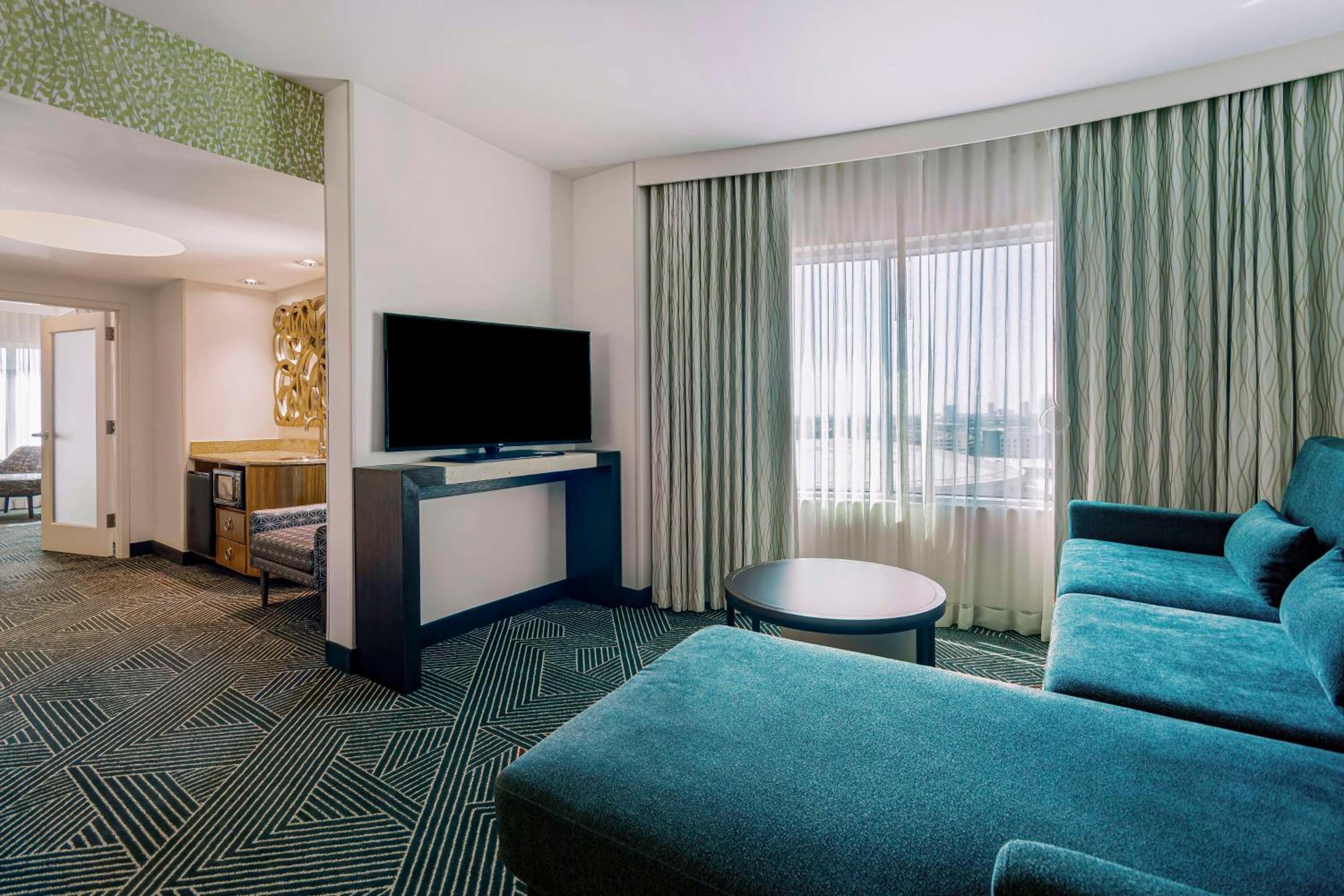 Deluxe King Suite photo 3