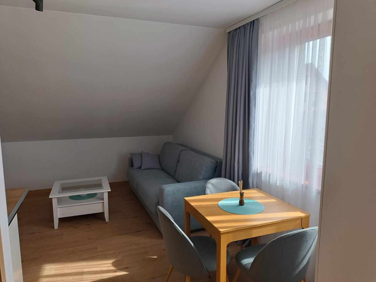 Superior One-Bedroom Apartment with Balcony photo 3