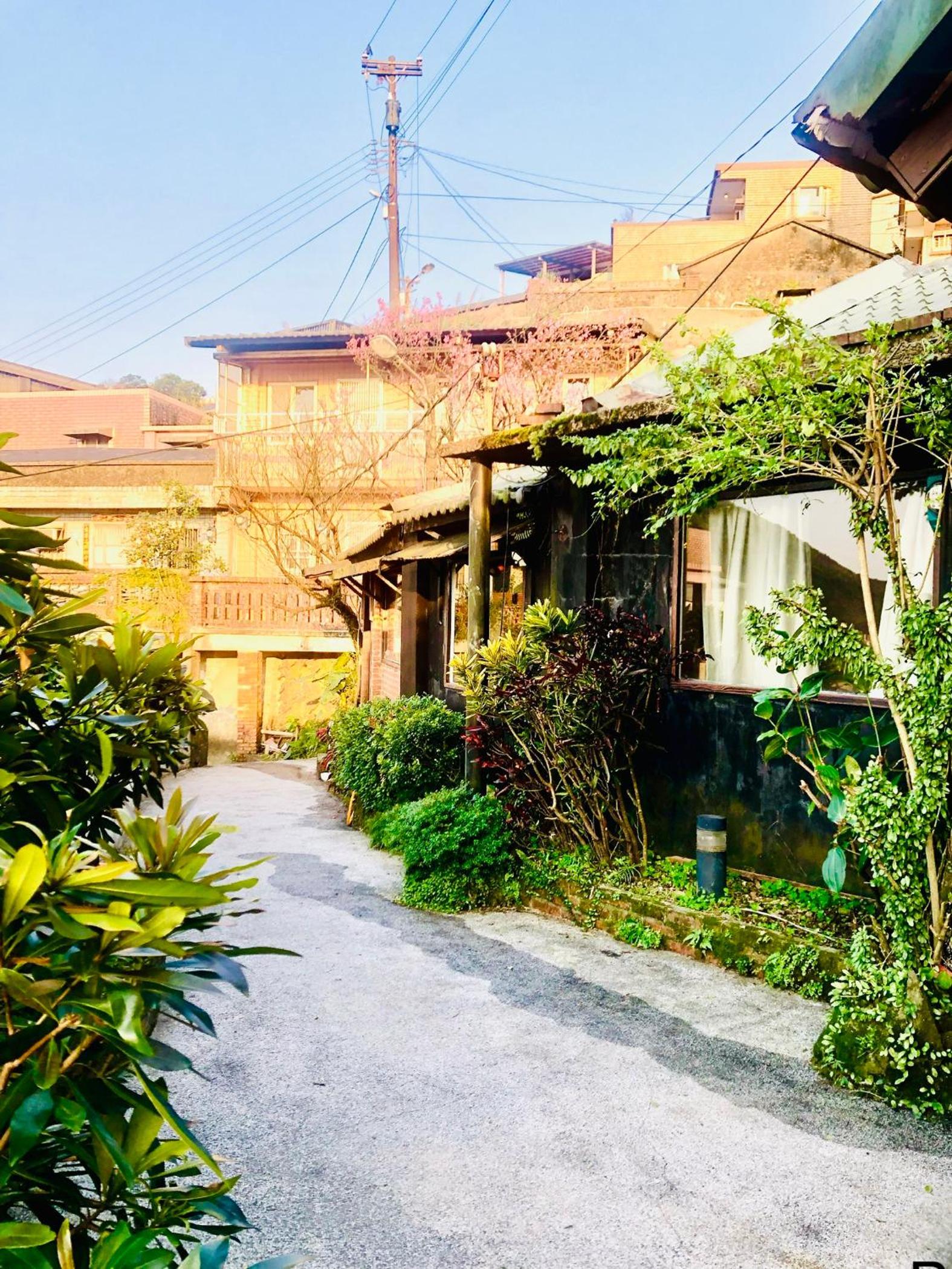 Deluxe Bungalow photo 2