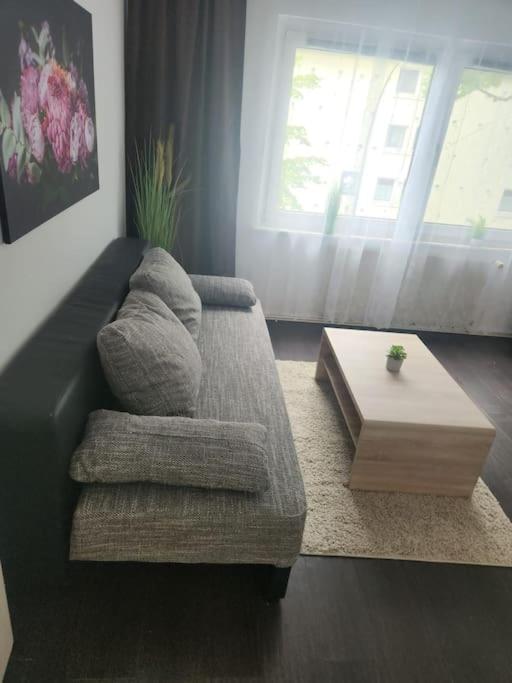 One-Bedroom Apartment photo 3