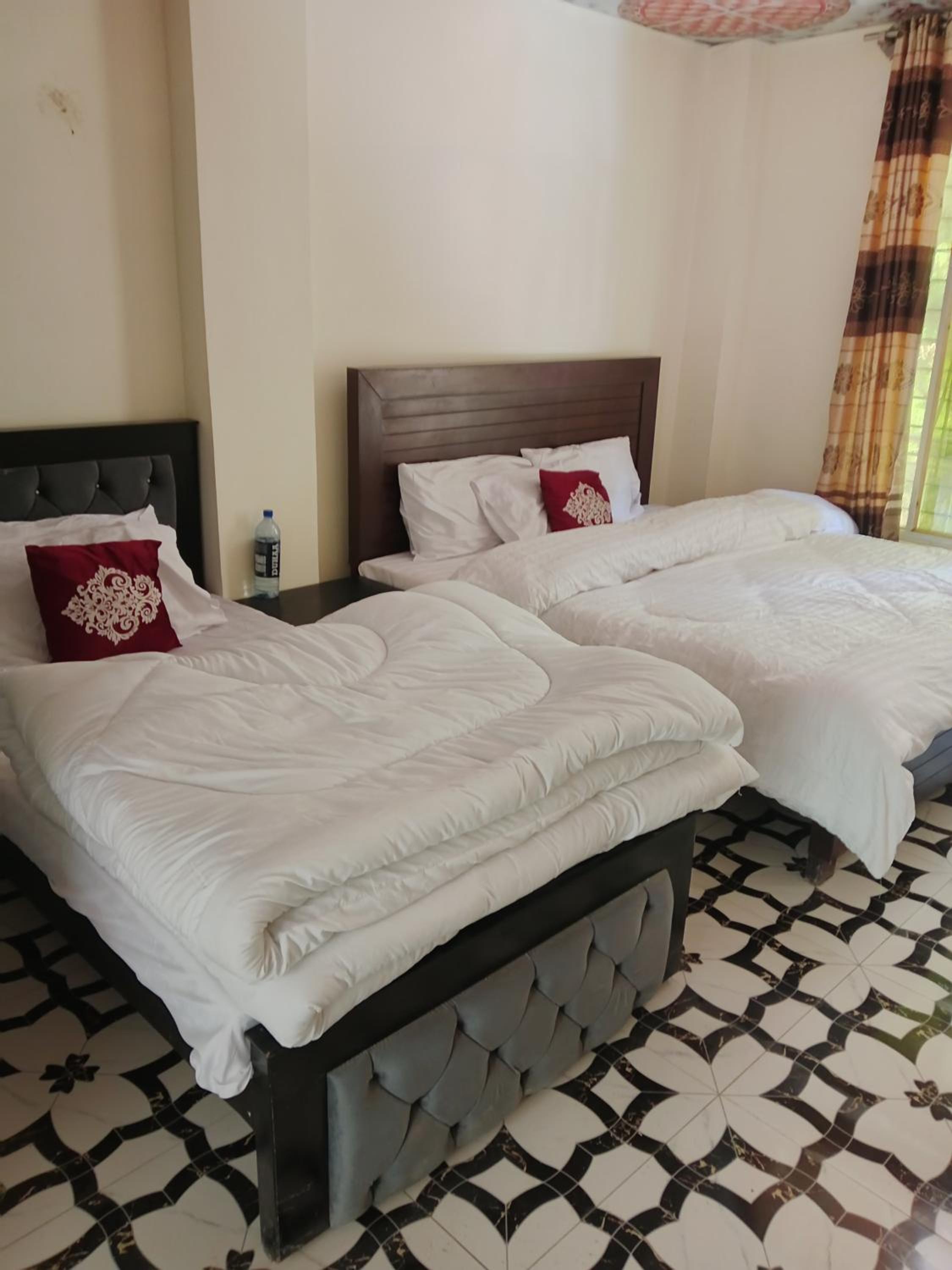 Deluxe Double or Twin Room with Mountain View