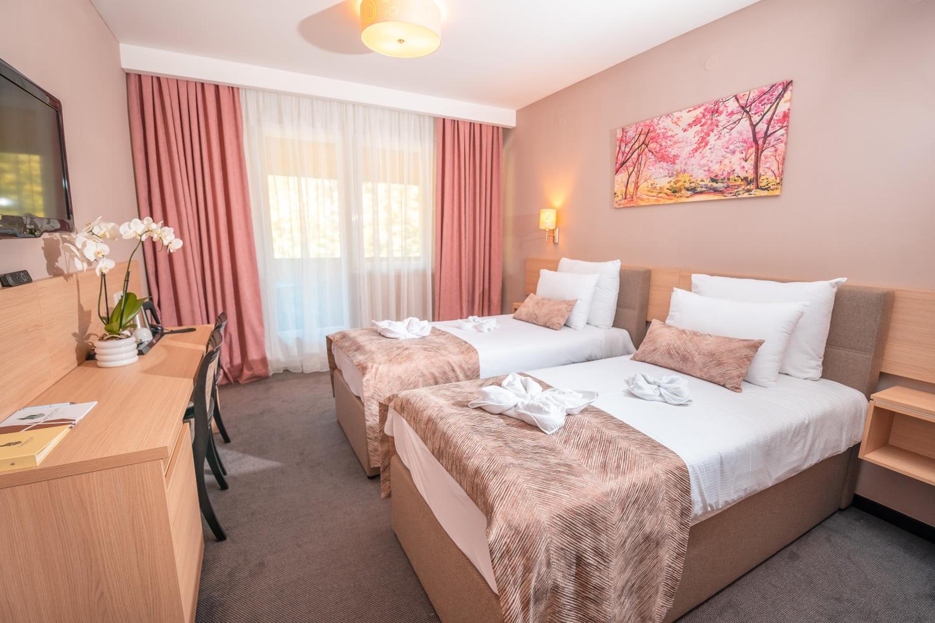Deluxe Twin Room photo 3