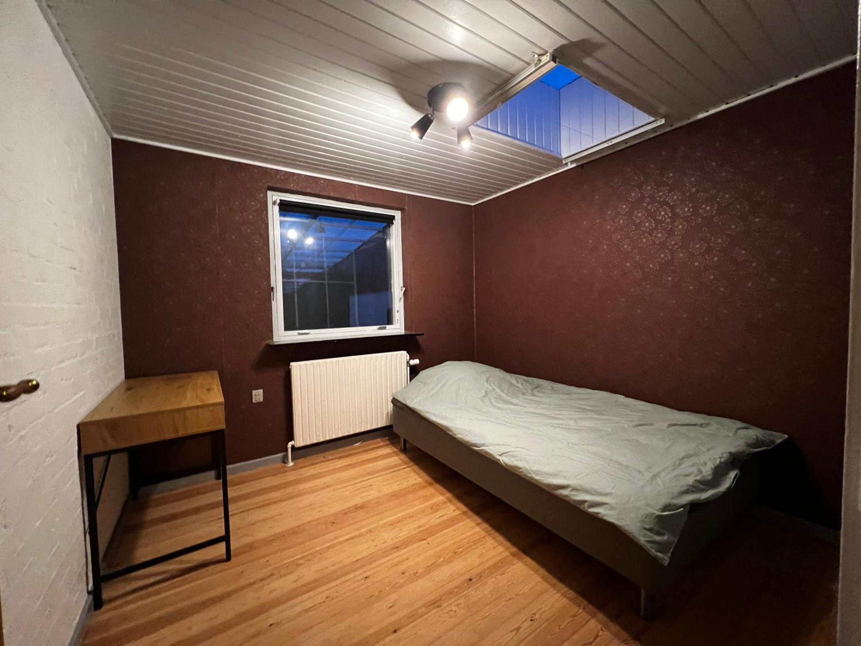 Single Room photo 1