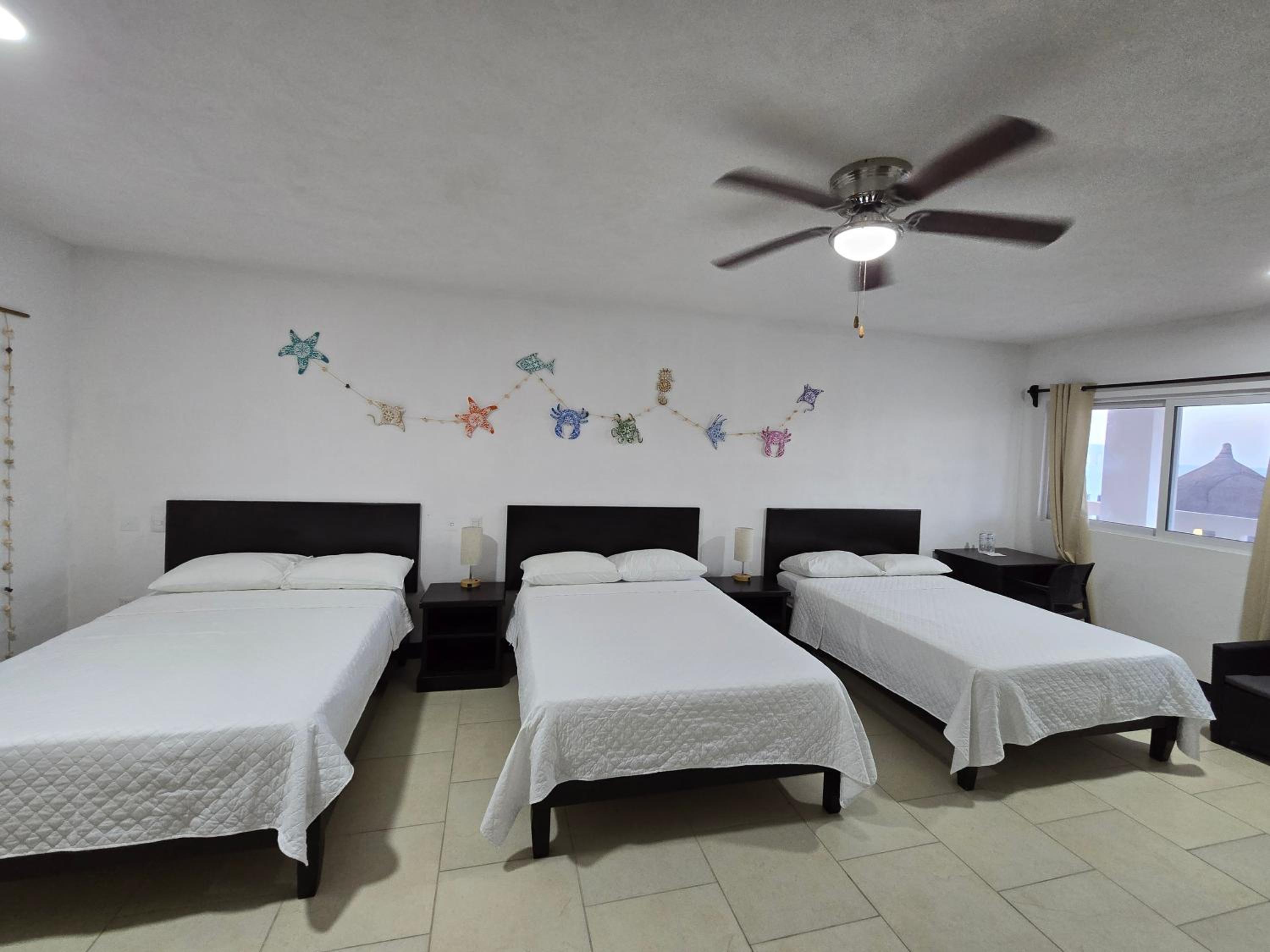 Triple Room photo 3