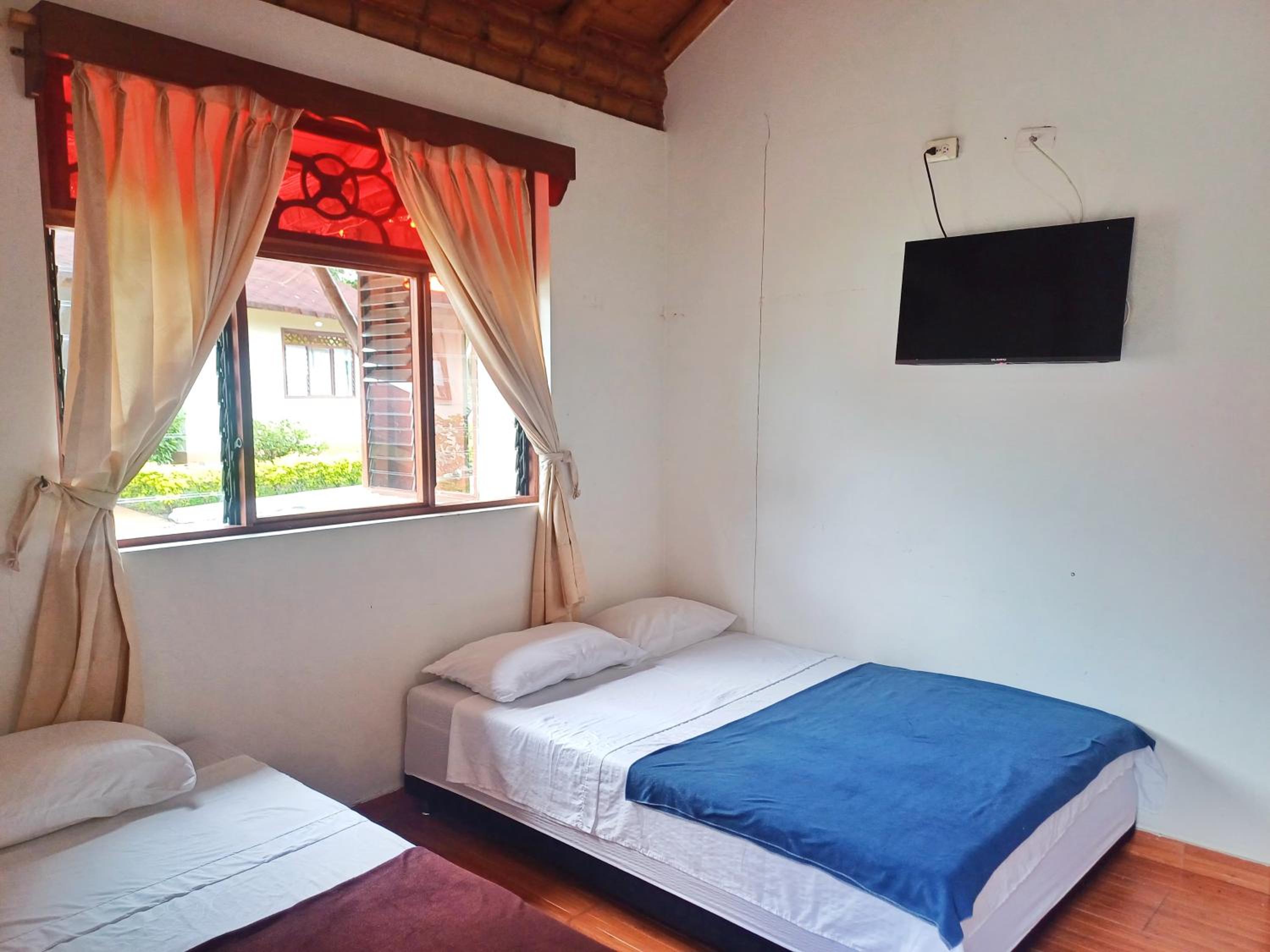 Basic Triple Room