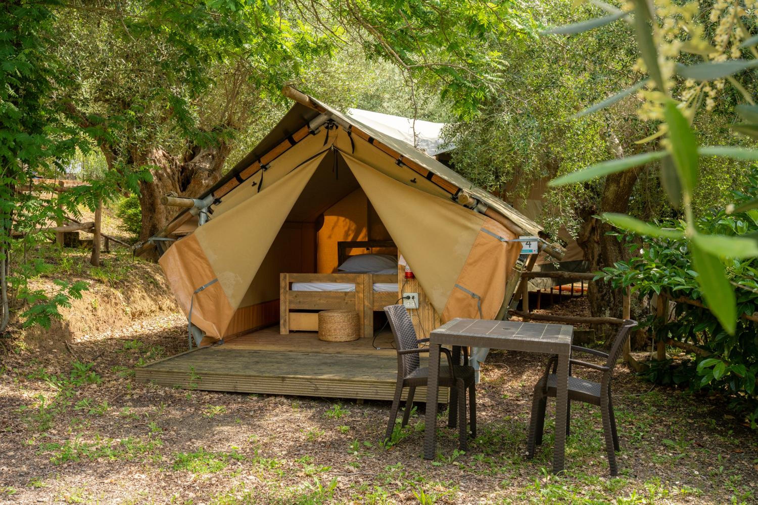 Safari Tent with Shared Bathroom (2 People)