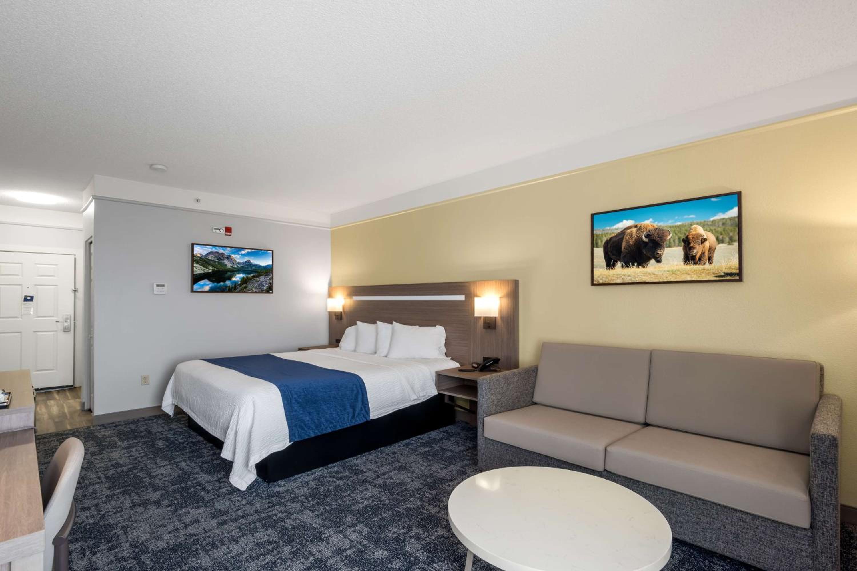 Larger King Room with Sofa Bed - Non-Smoking - Photo 17