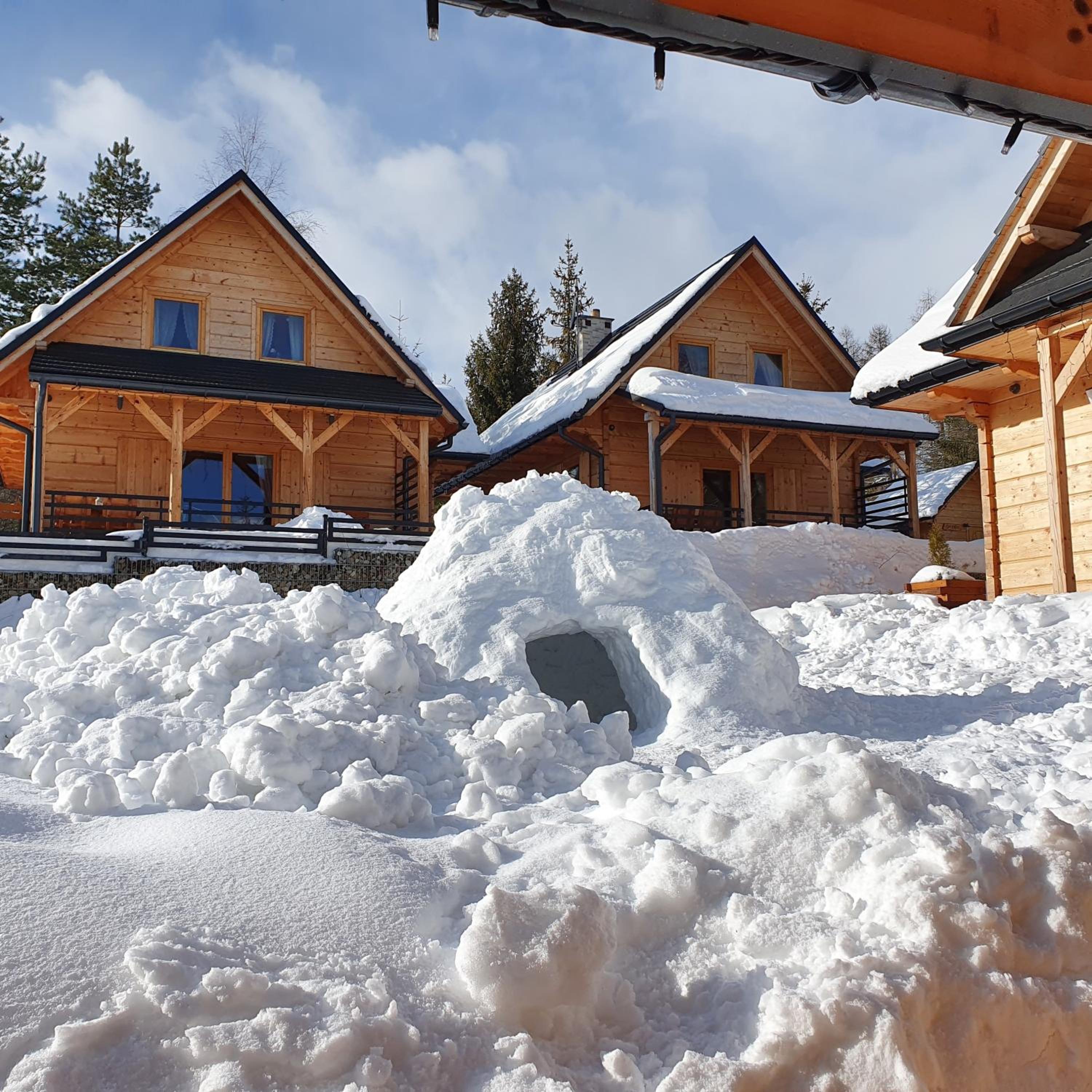 Vacation Home photo 3