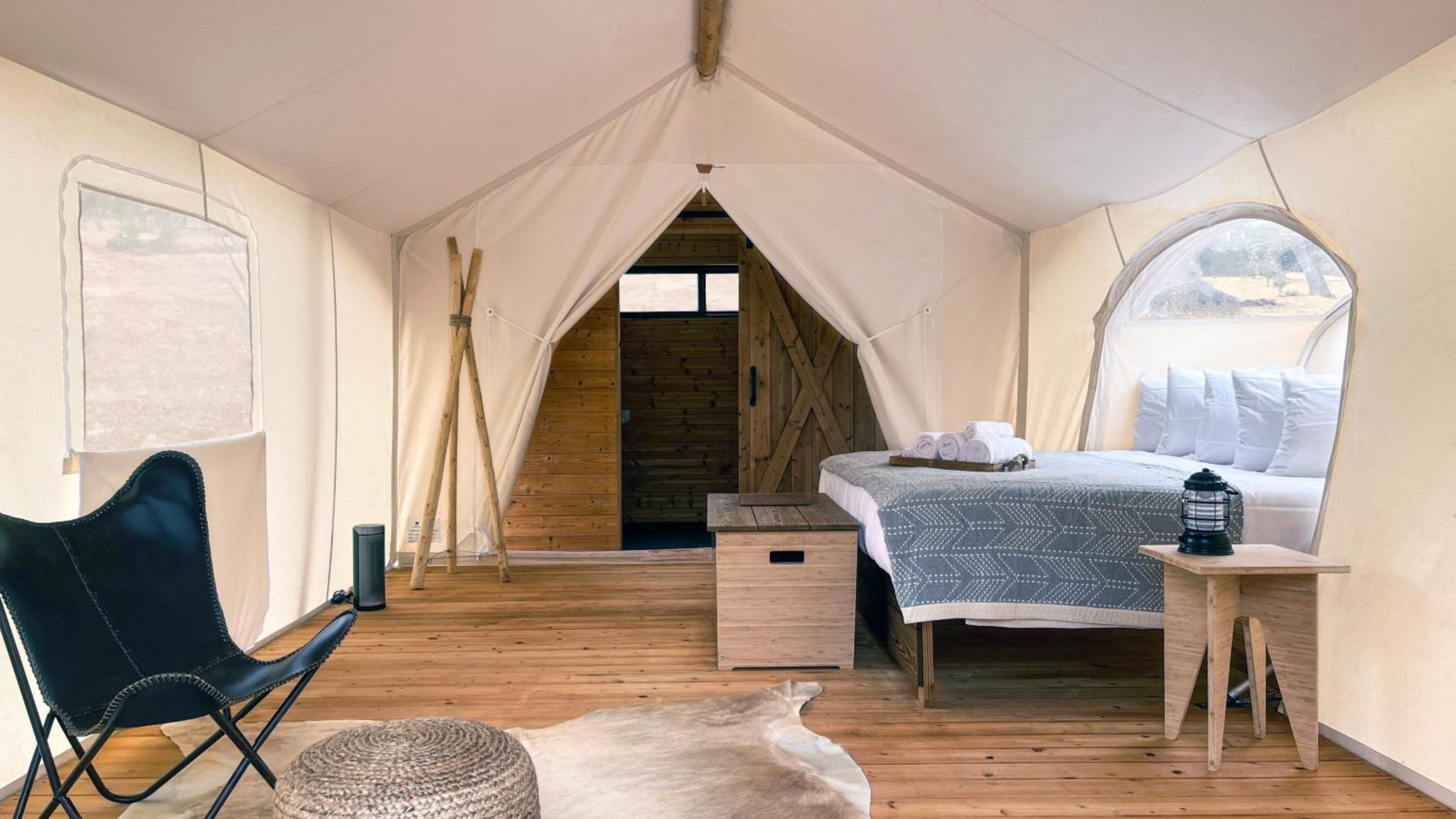 Stargazer Tent  photo 3