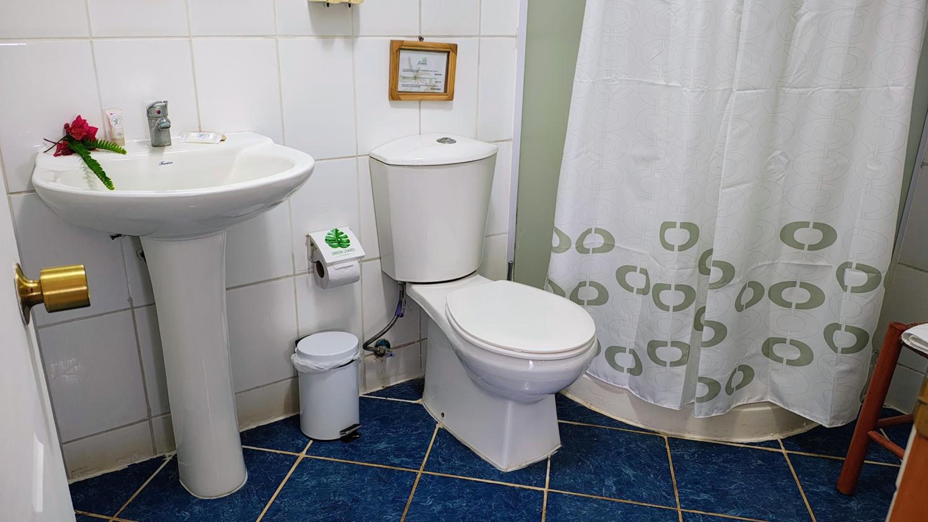 Superior Queen Room photo 3