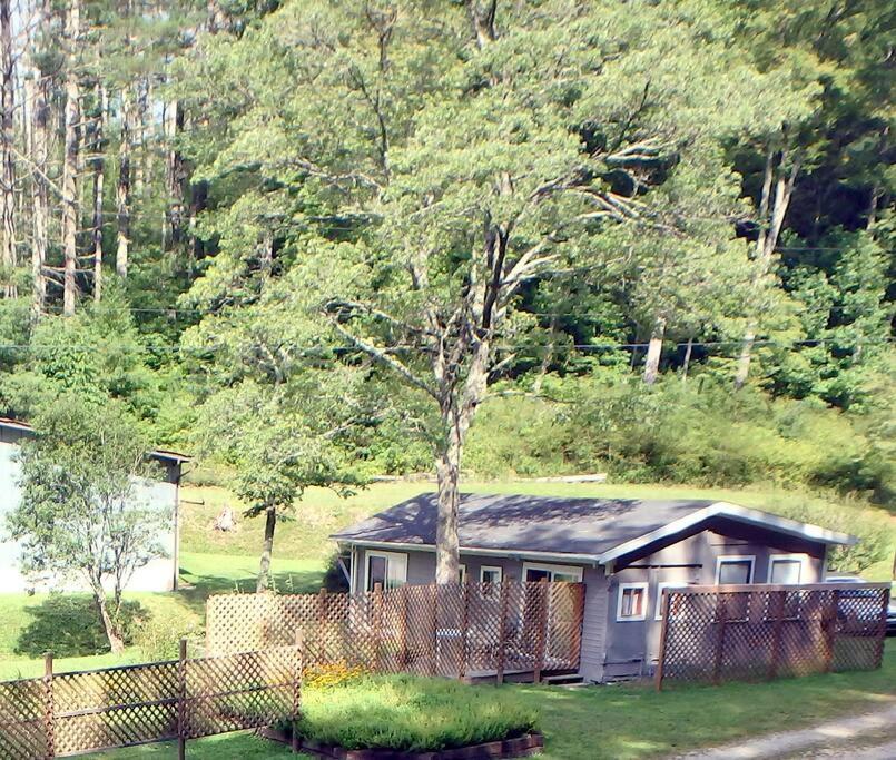 One-Bedroom House photo 2