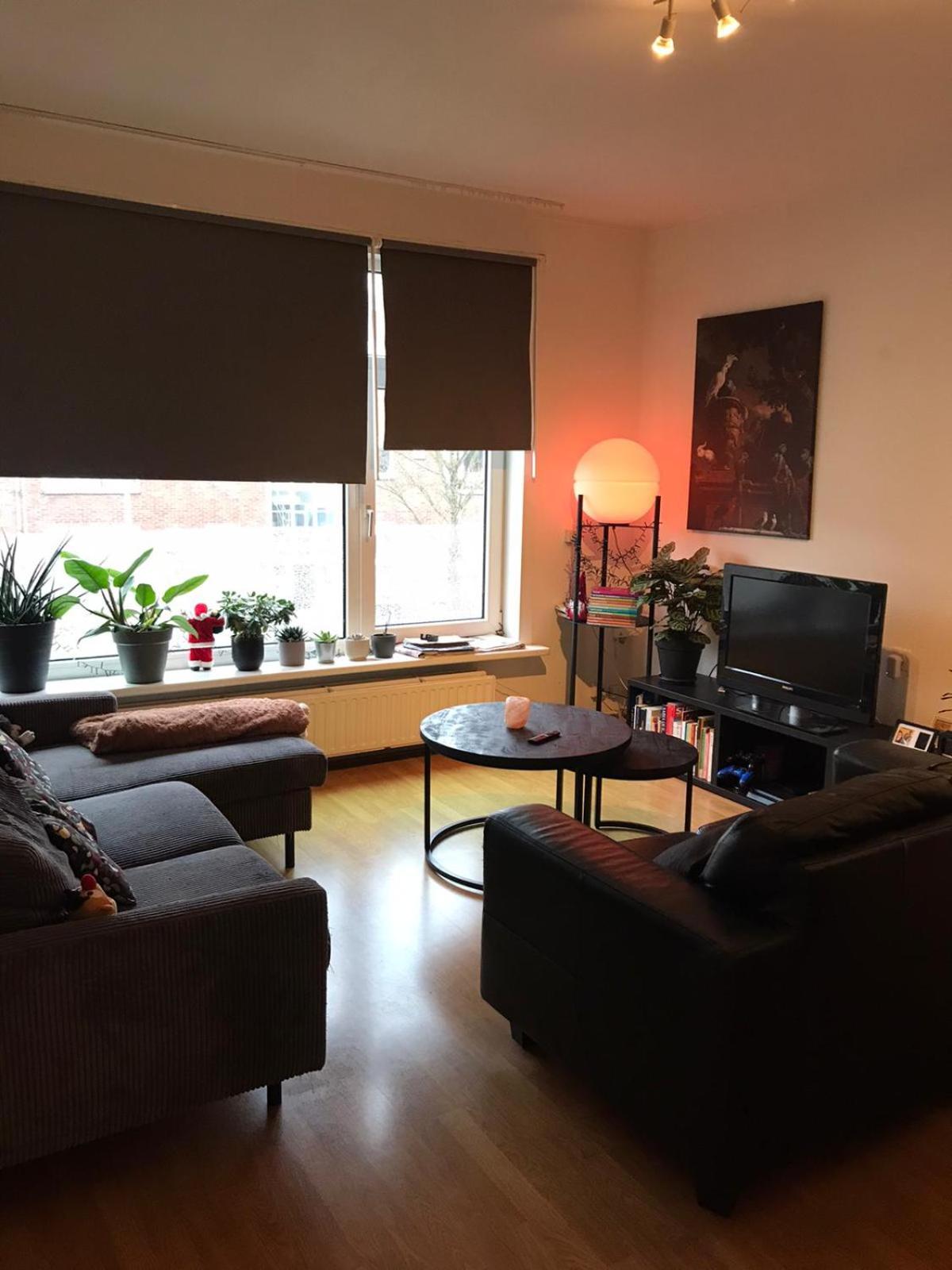 Two-Bedroom Apartment photo 2