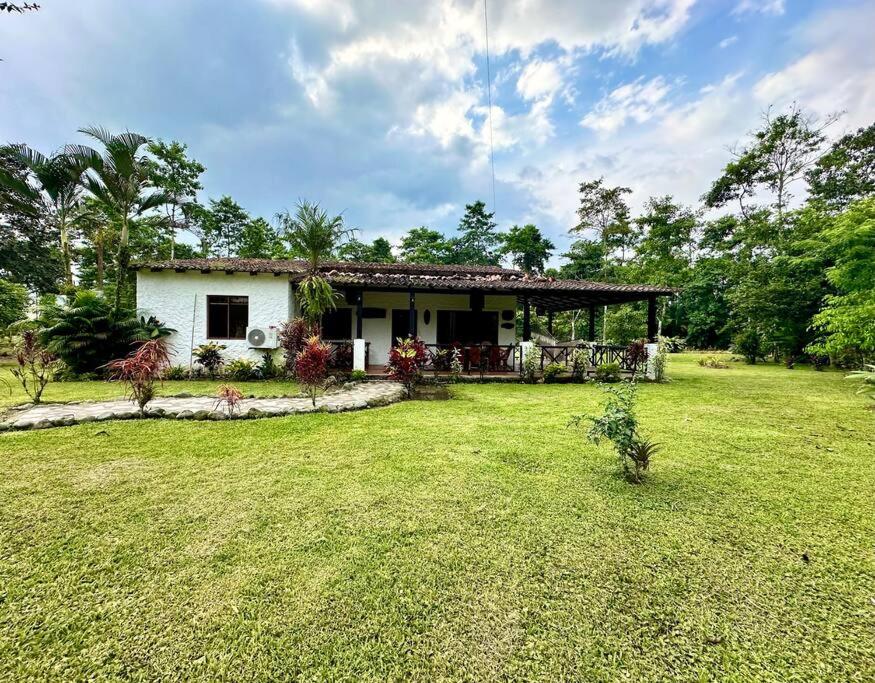 Four-Bedroom House photo 3