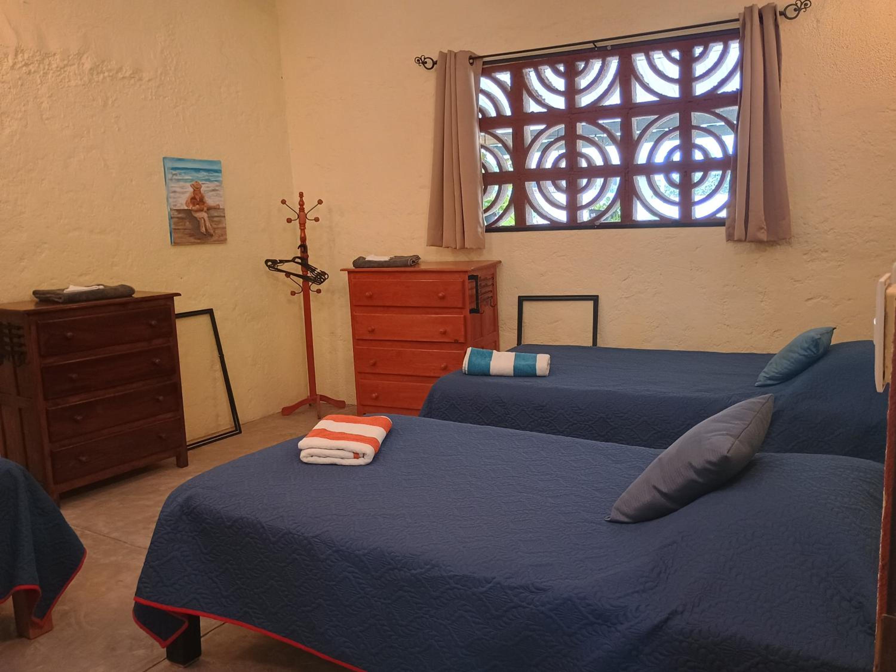 Single Bed in Dormitory Room photo 1