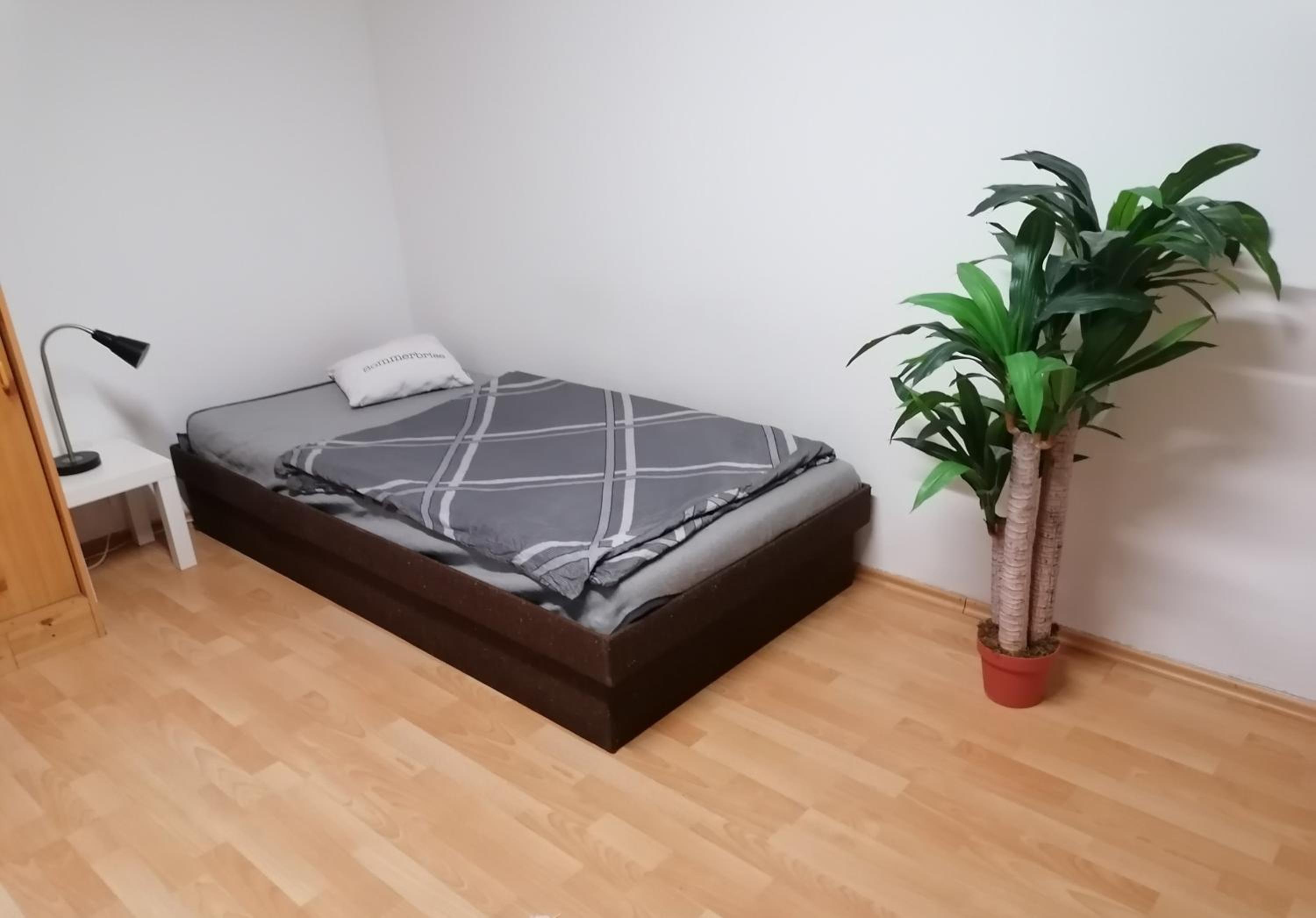 Apartment photo 1