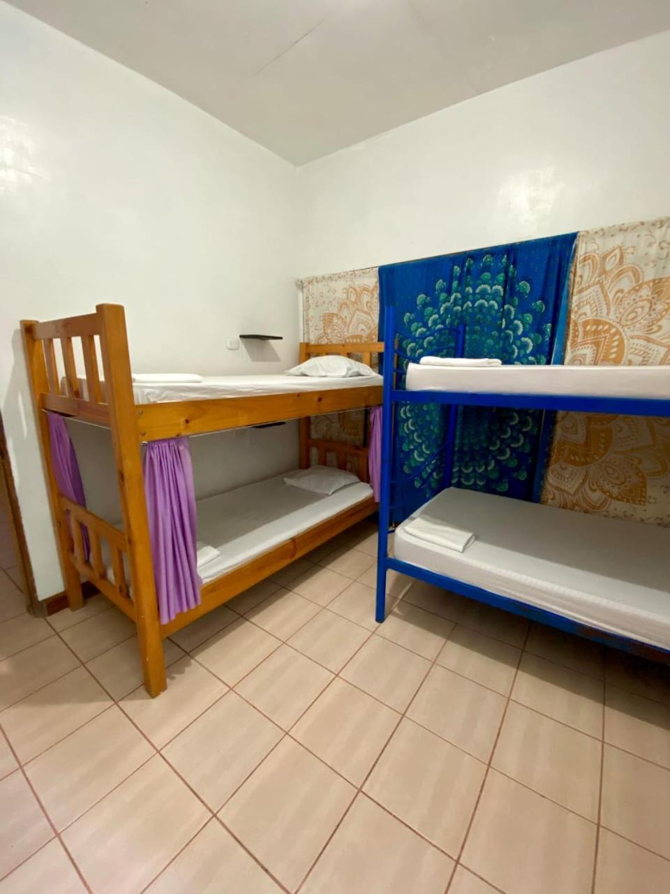 4-Bed Mixed Dormitory Room photo 1