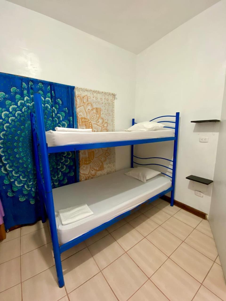 4-Bed Mixed Dormitory Room photo 2