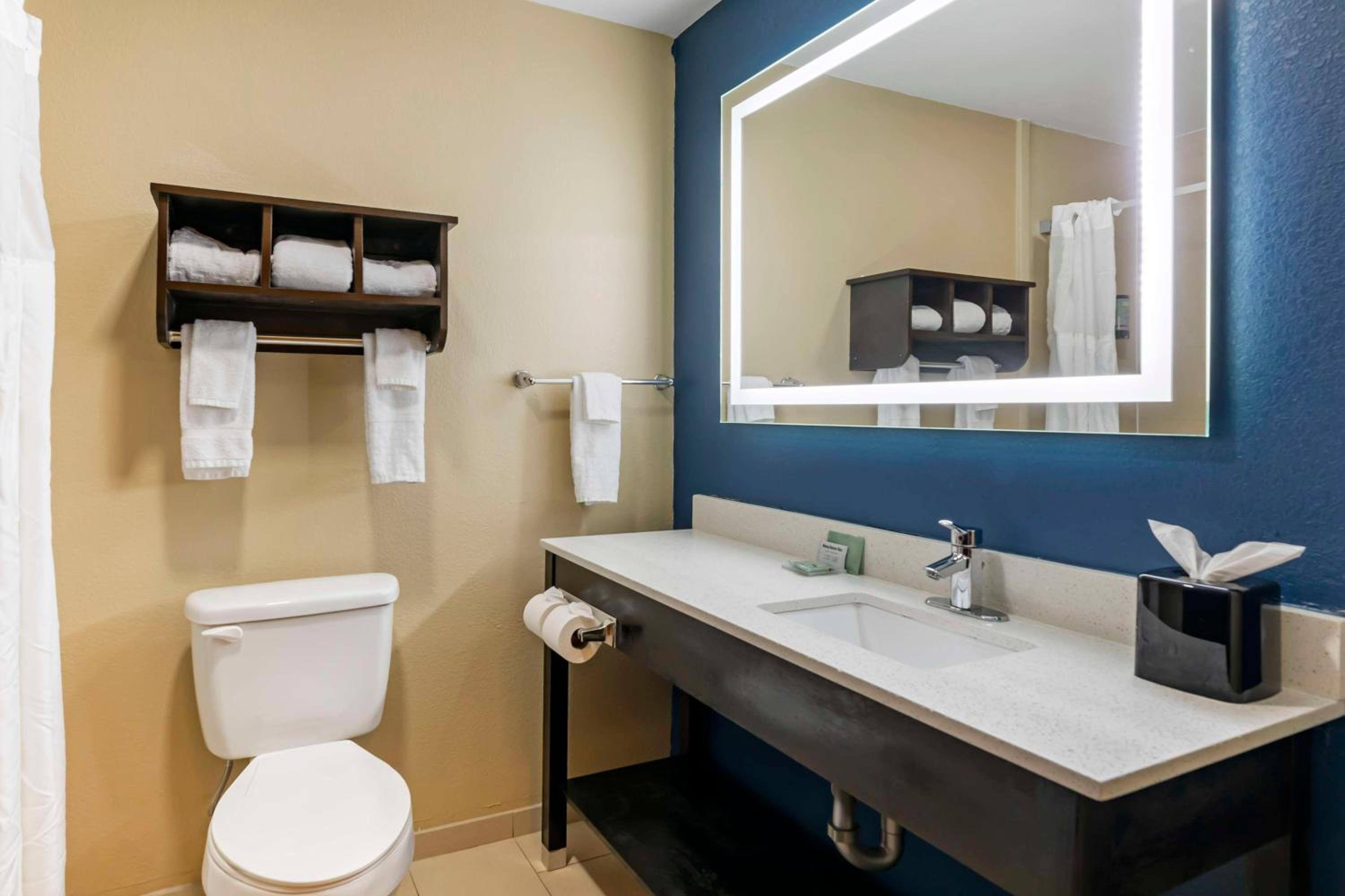 King Room - Non-Smoking - Photo 4
