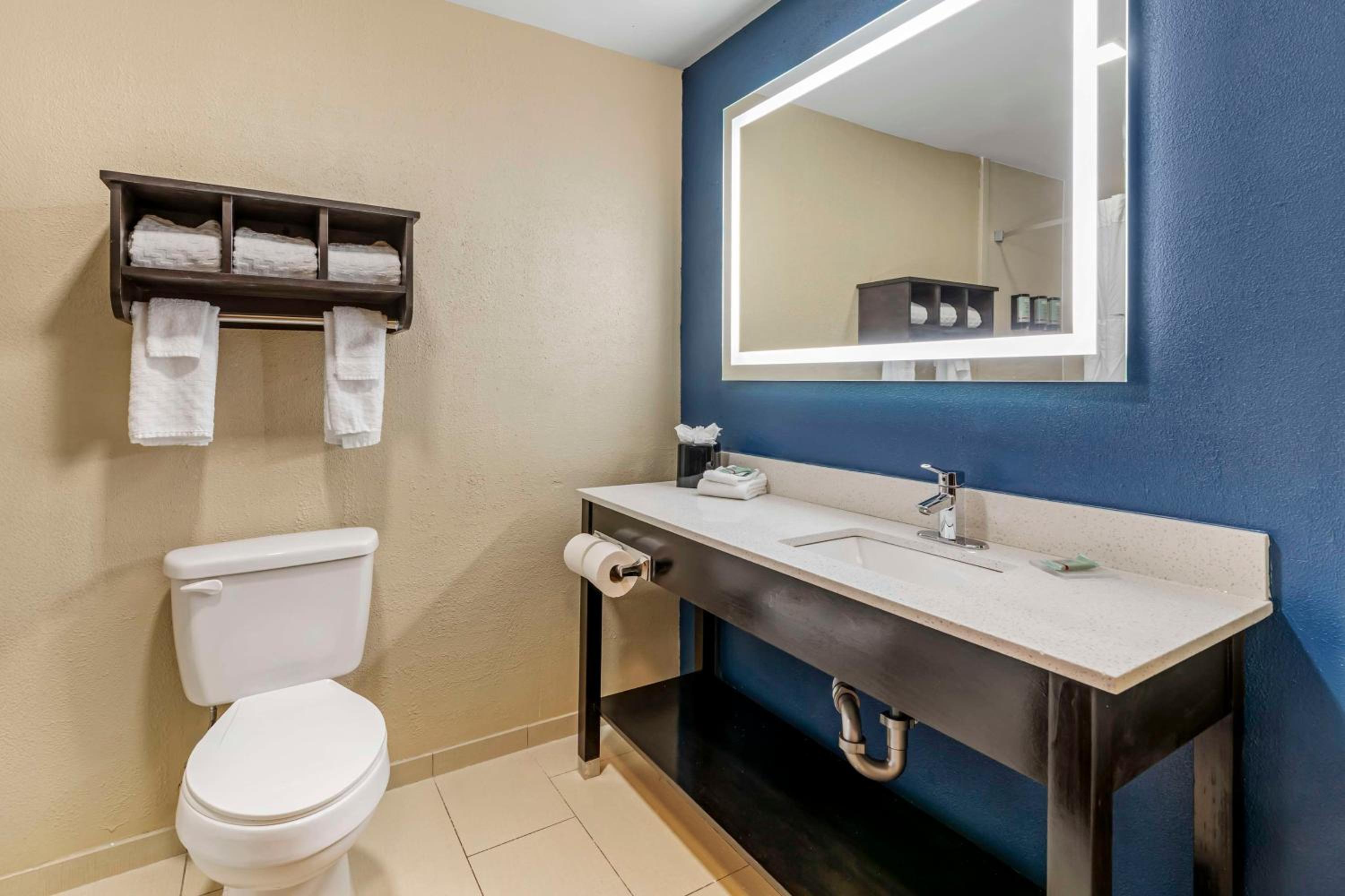 King Suite with Kitchenette - Non-Smoking - Photo 6