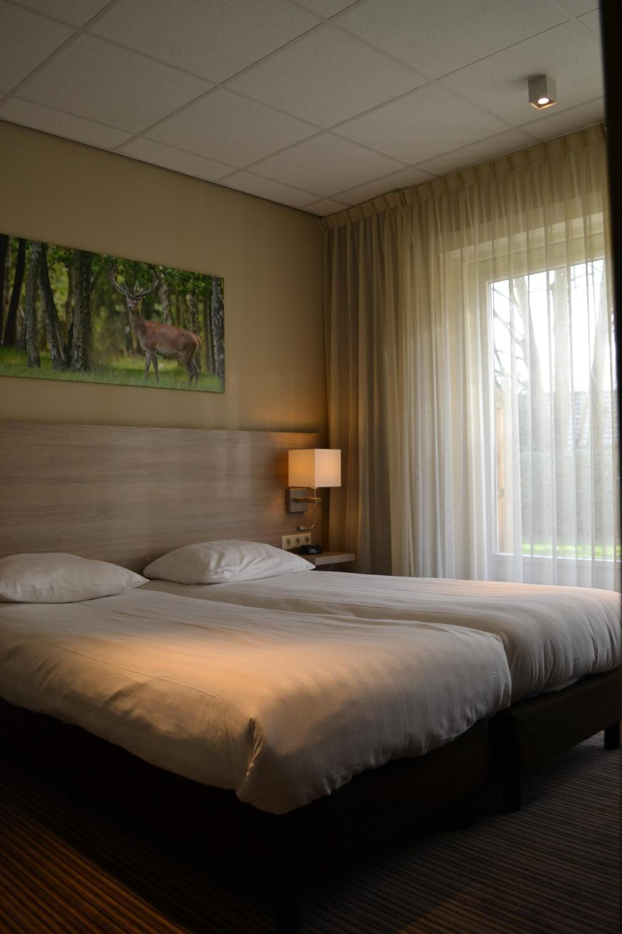 Comfort Double Room with Terrace - Photo 1