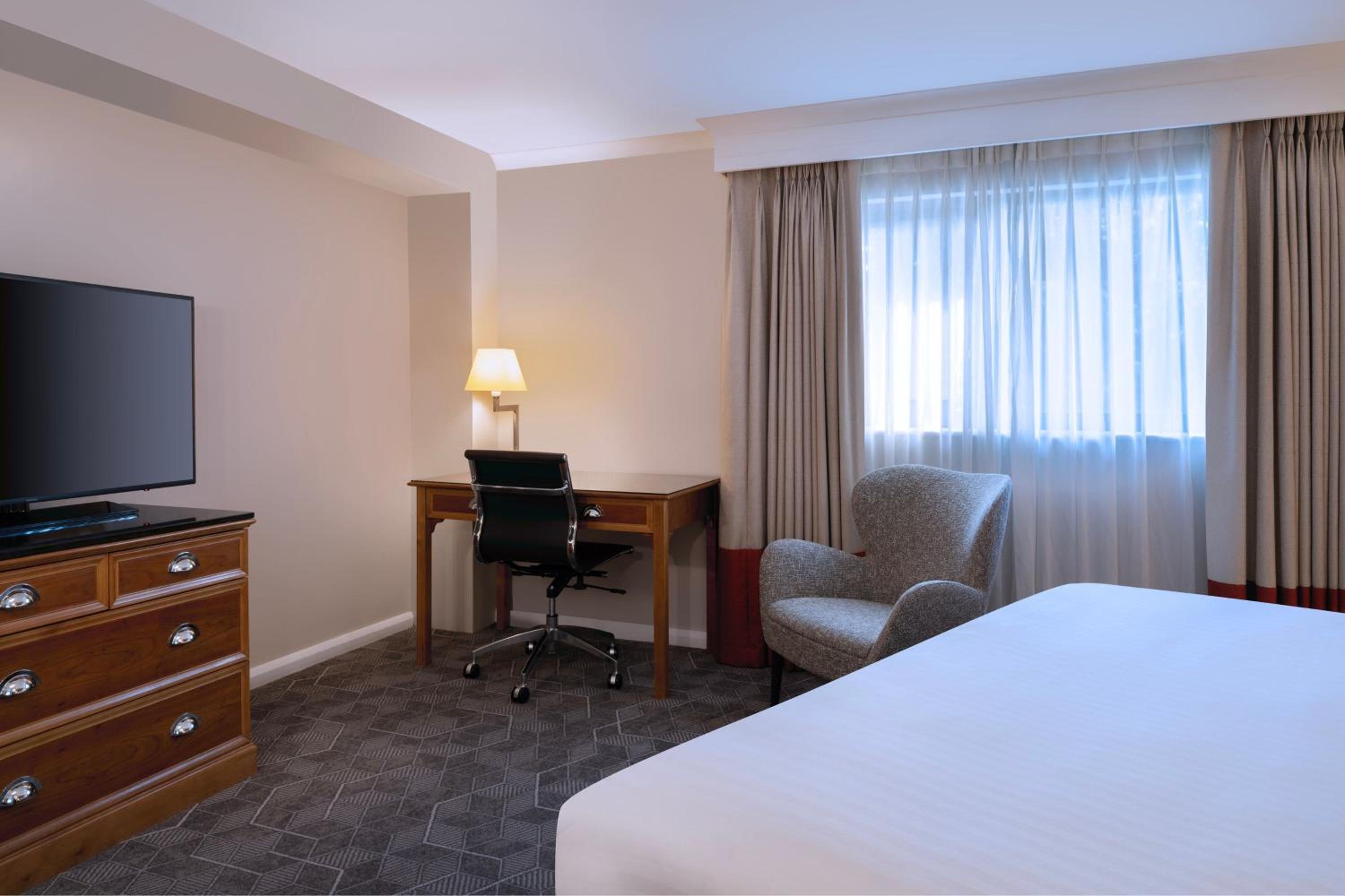 Large Deluxe Queen Room - Photo 5