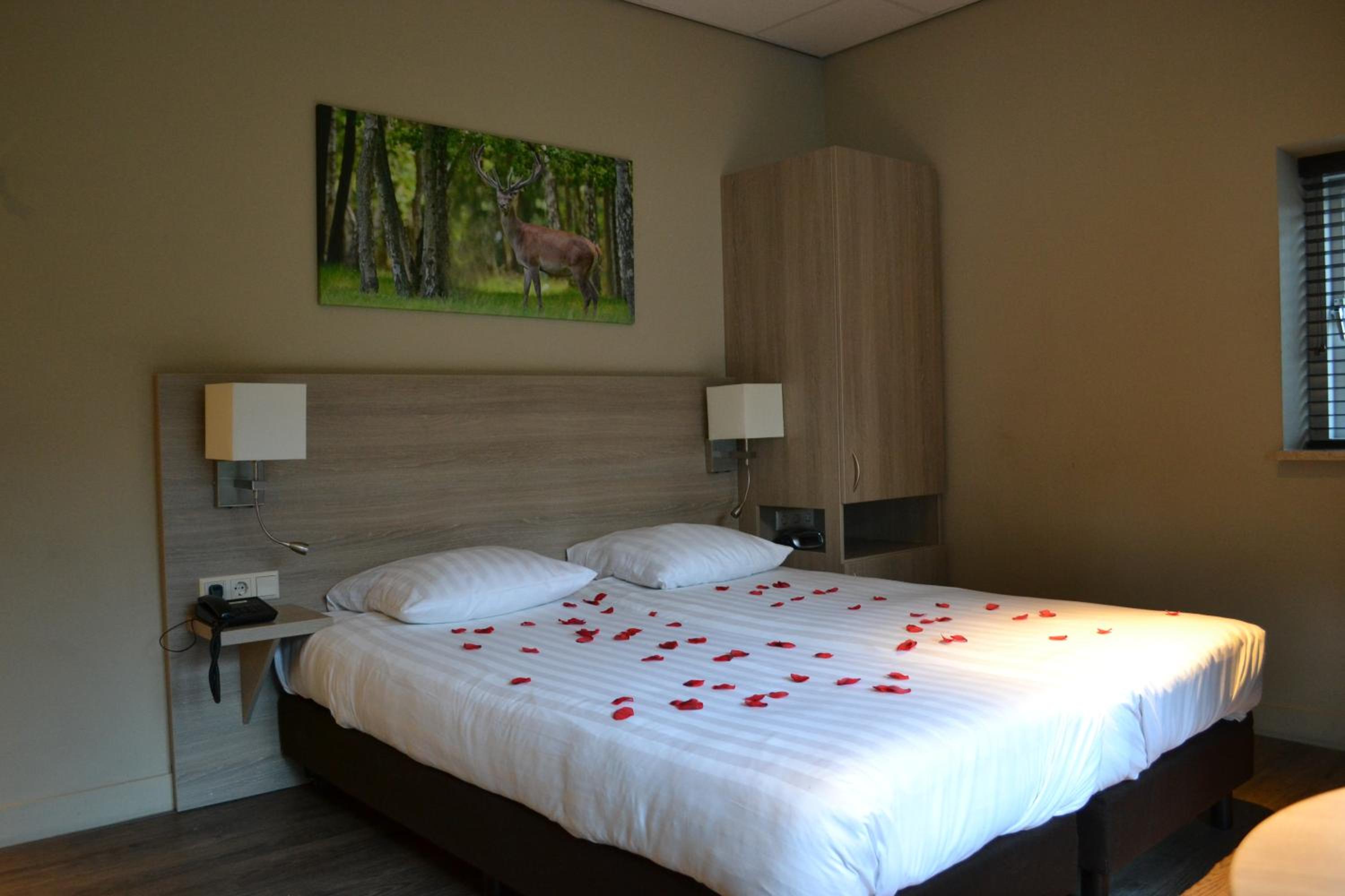 Comfort Double Room with Bath - Photo 1
