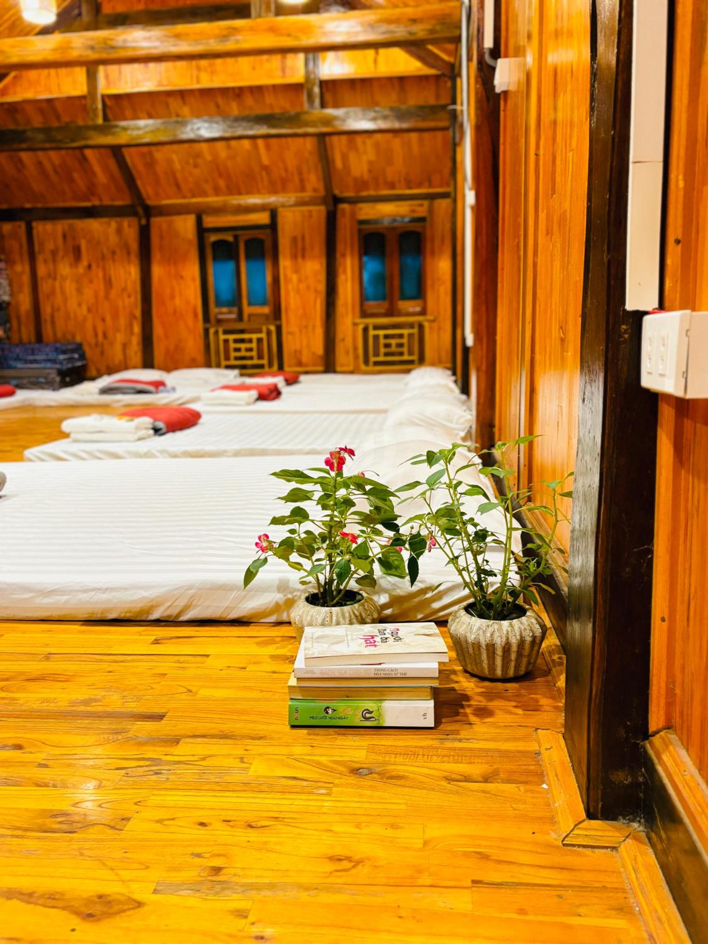 Single Bed in Mixed Dormitory Room photo 1