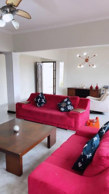 One-Bedroom House photo 1