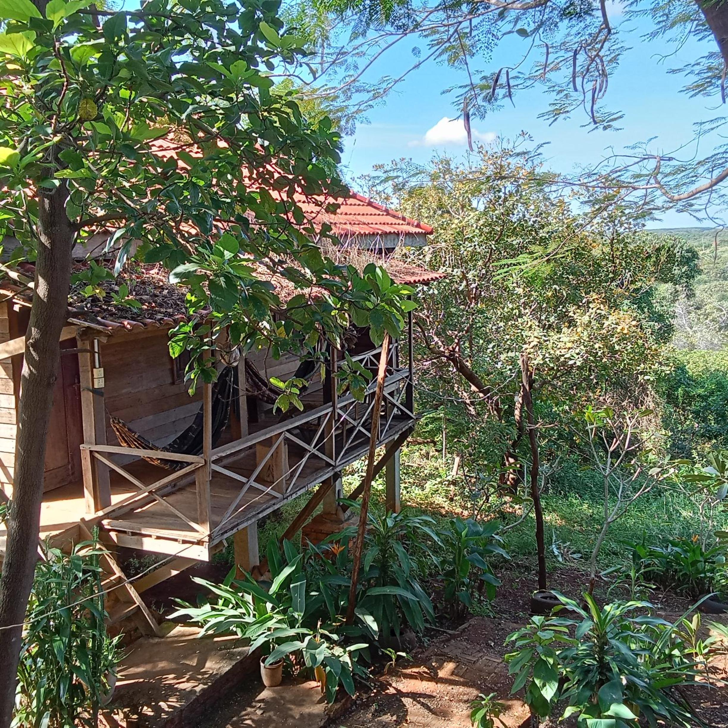 Bungalow with Patio photo 3
