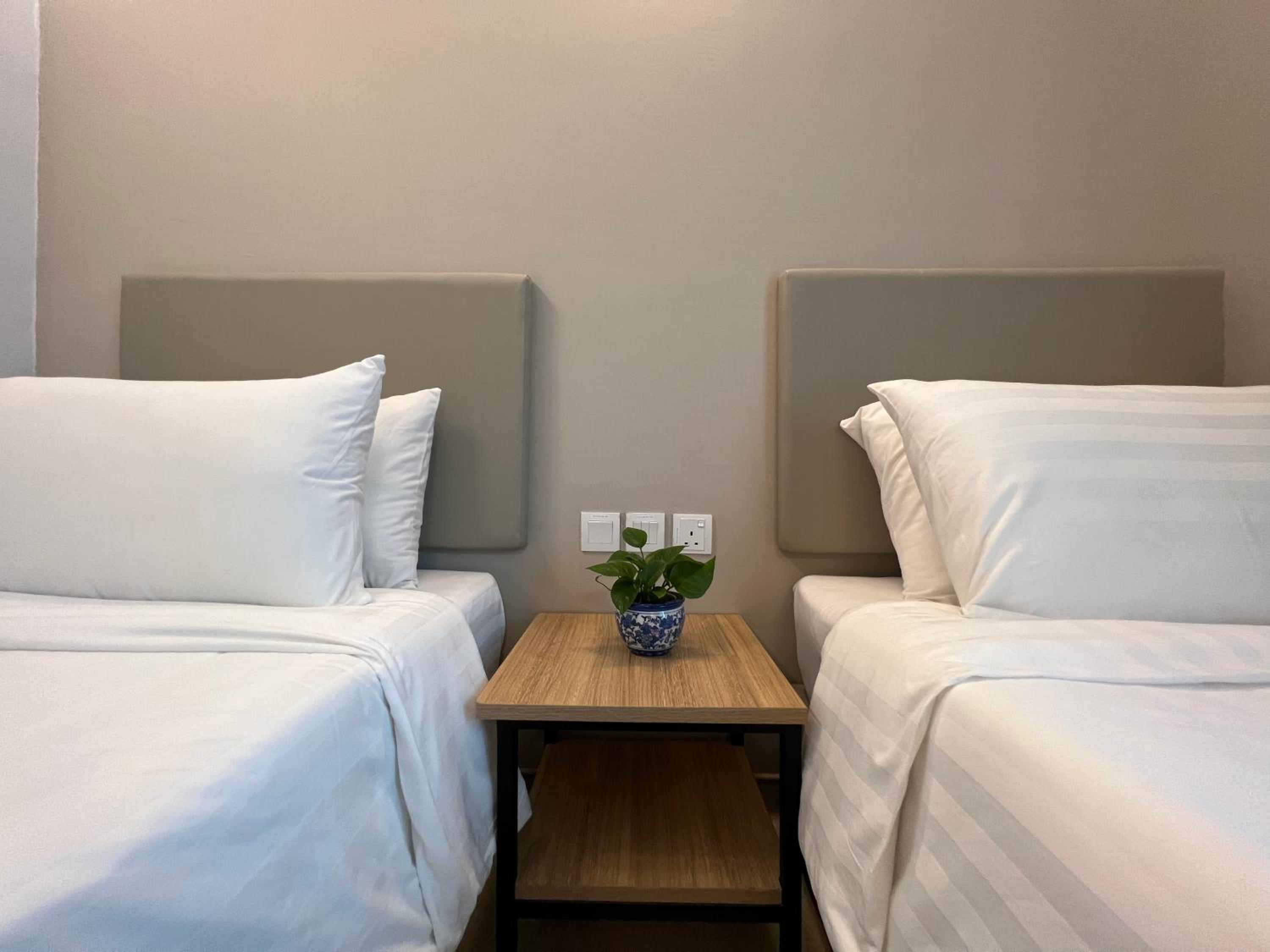 Twin Room - Photo 3
