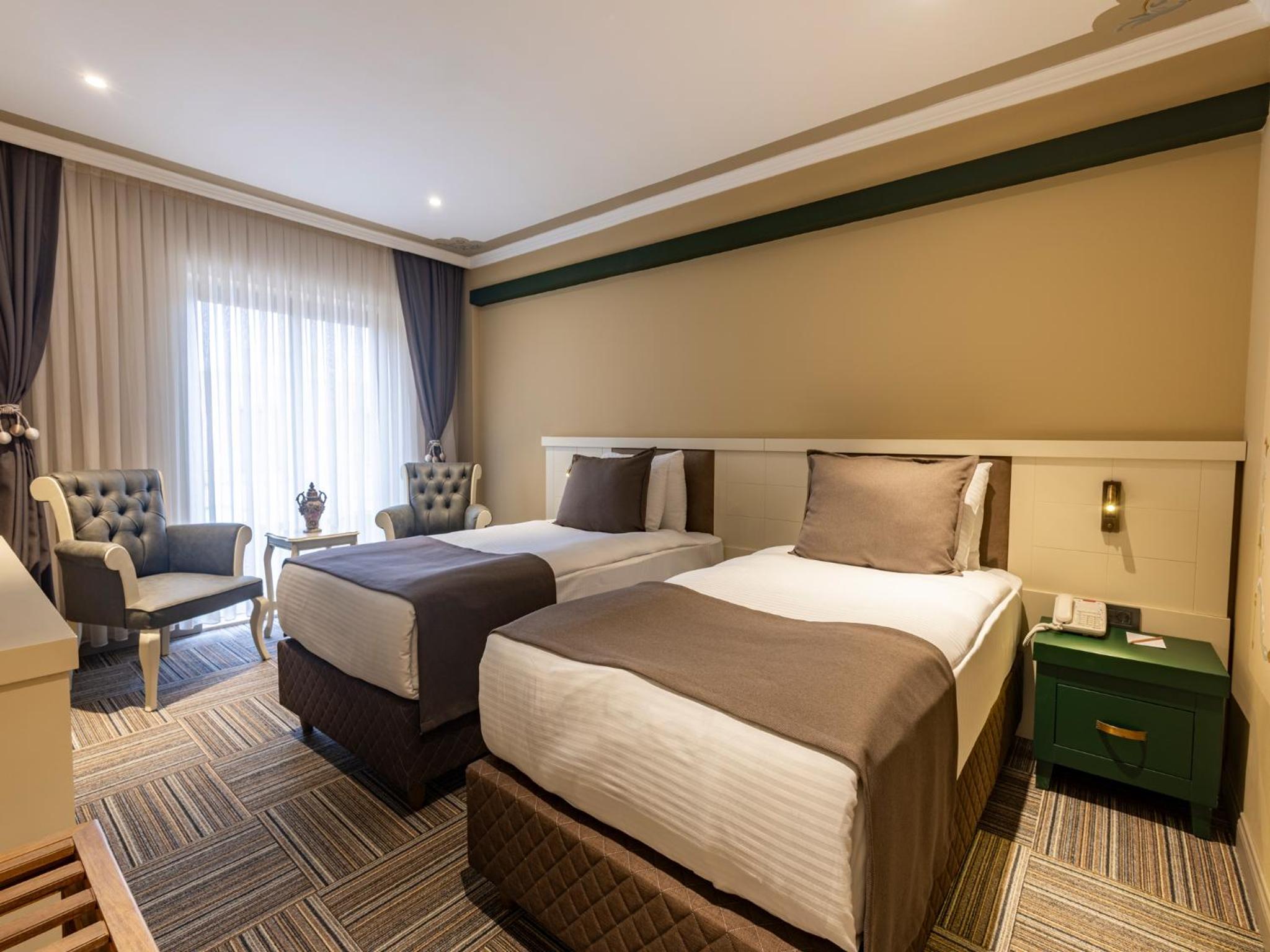 Deluxe Twin Room photo 1
