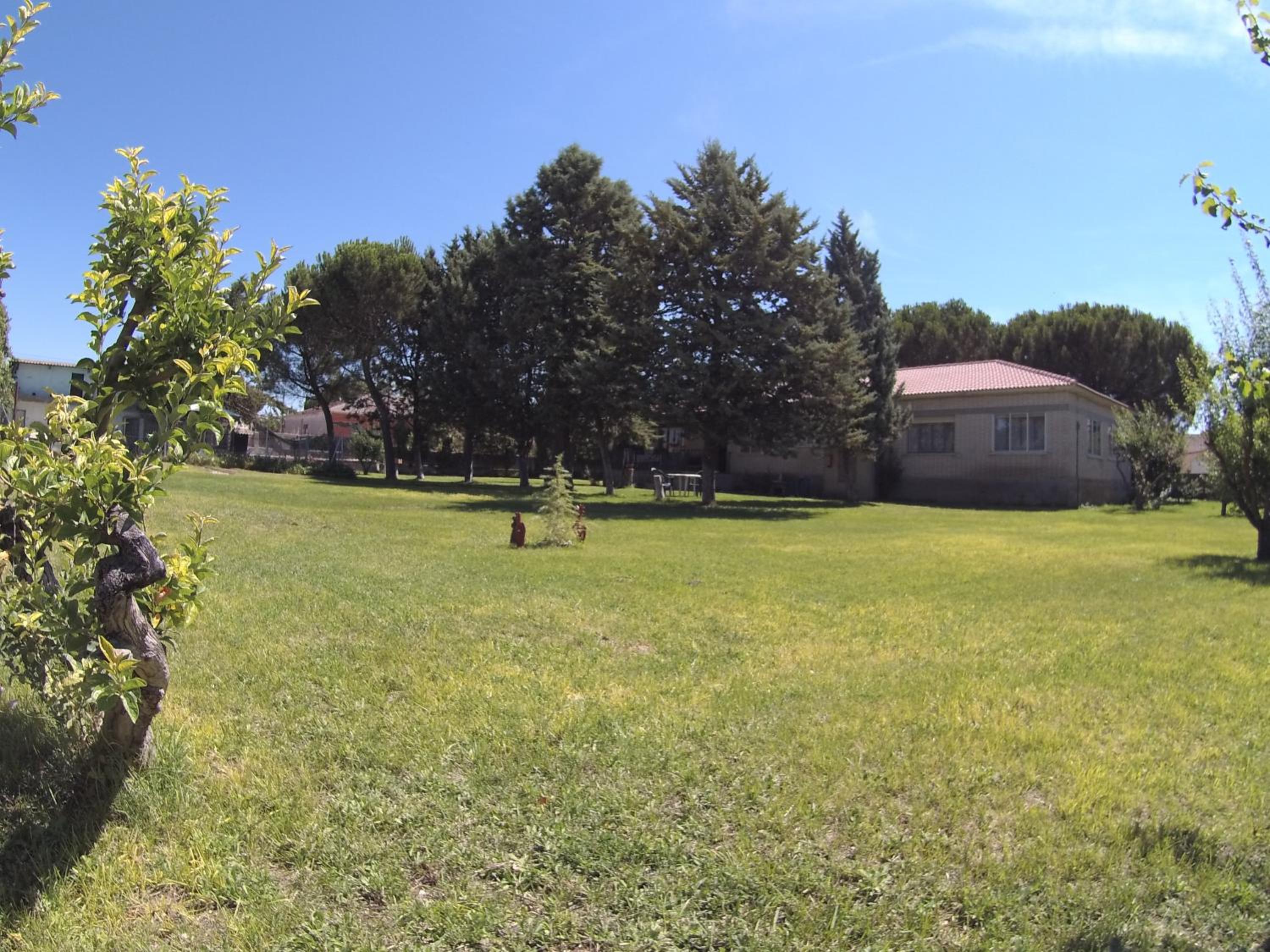 Apartment with Terrace photo 2