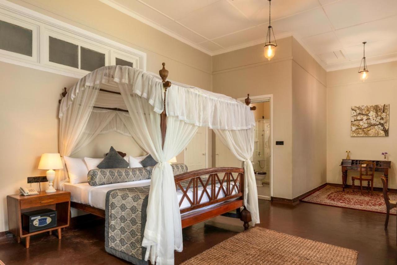 Superior Double Room photo 3