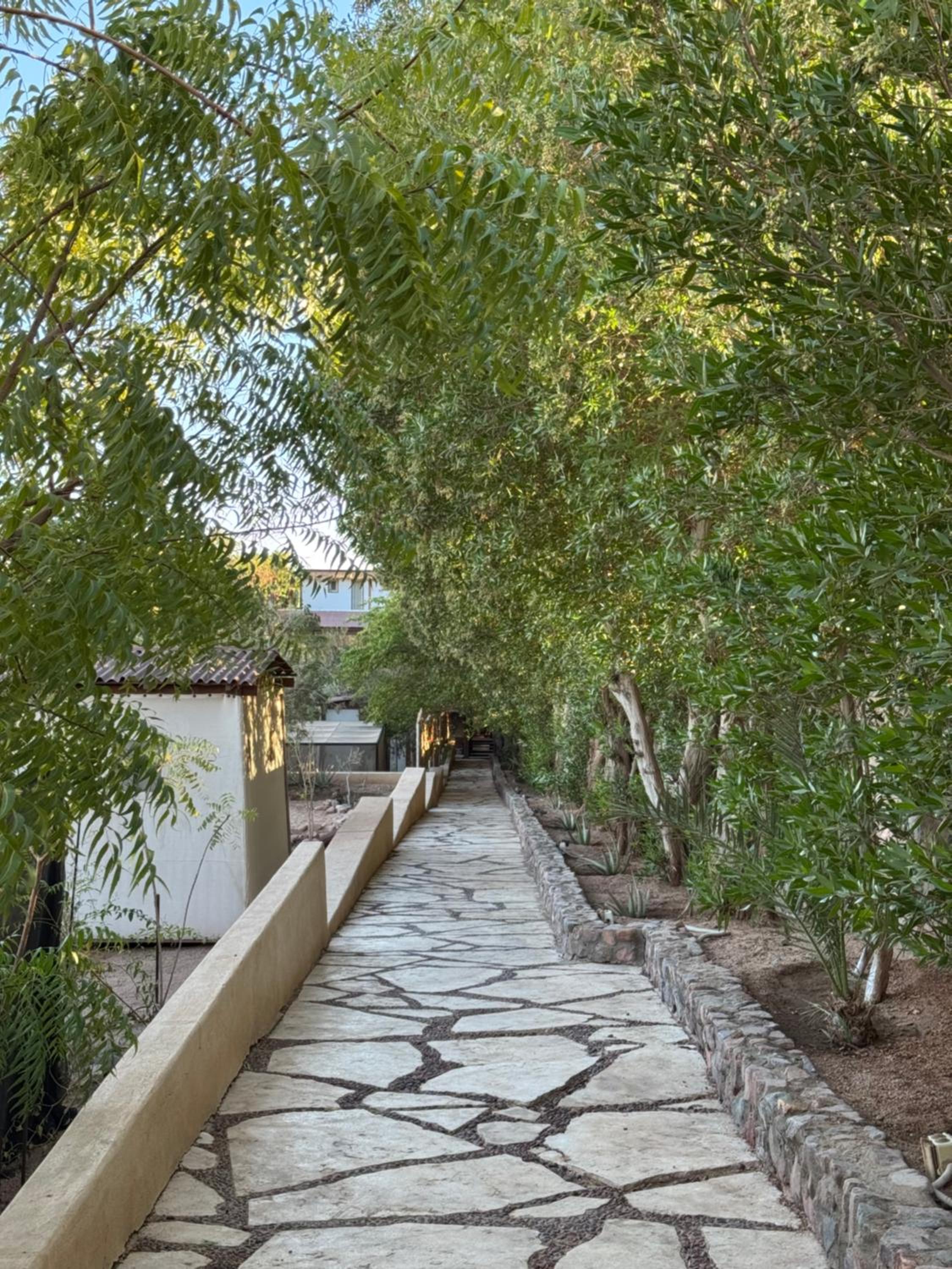 Deluxe Bungalow with Garden View - Photo 19