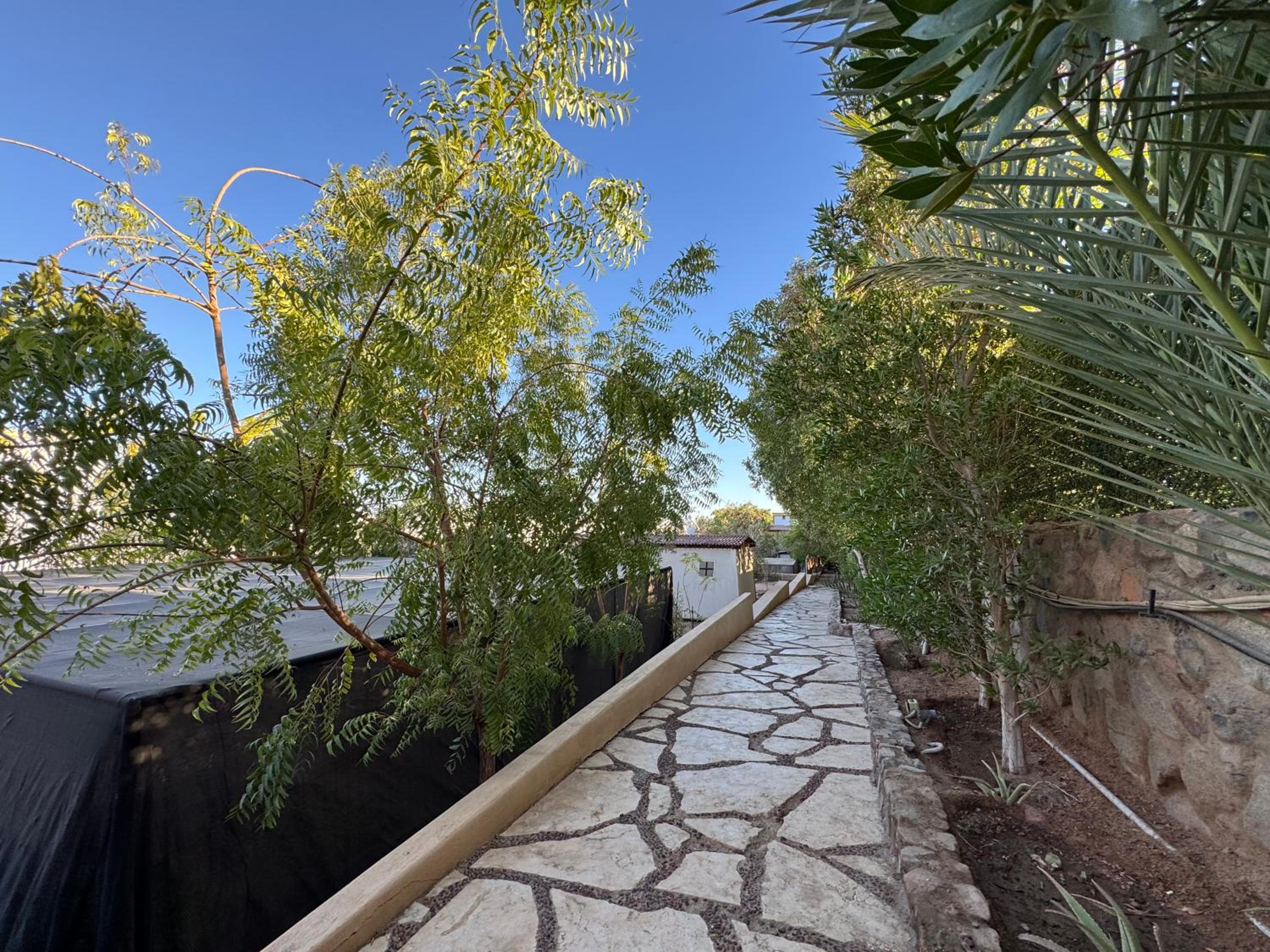 Deluxe Bungalow with Garden View - Photo 7