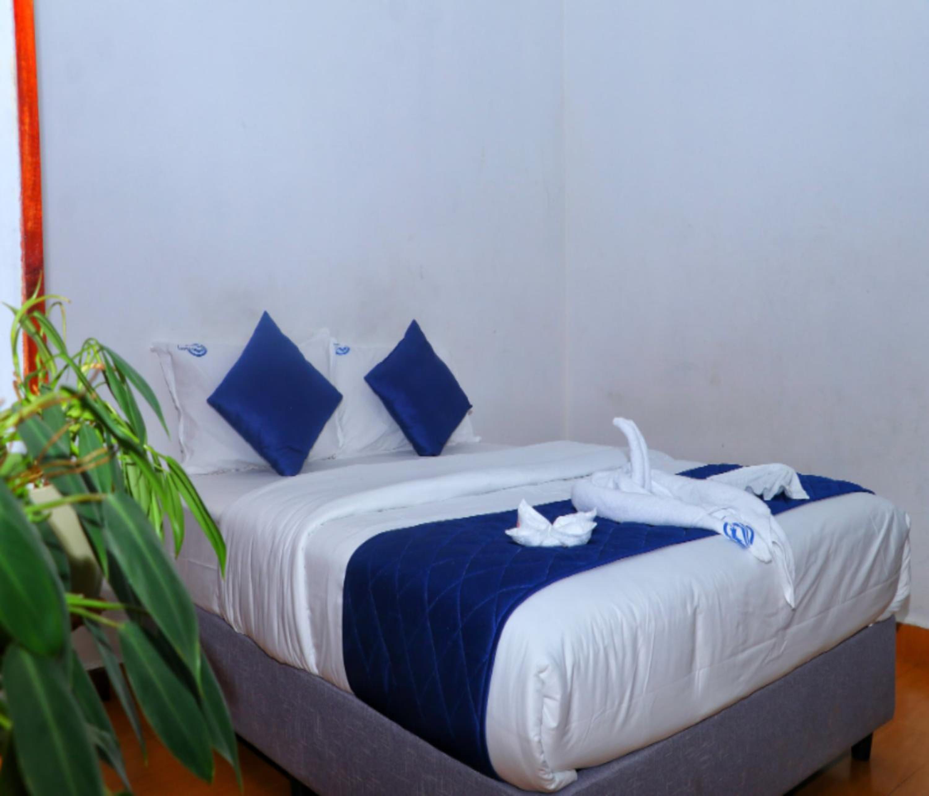 Deluxe Room - Photo 1