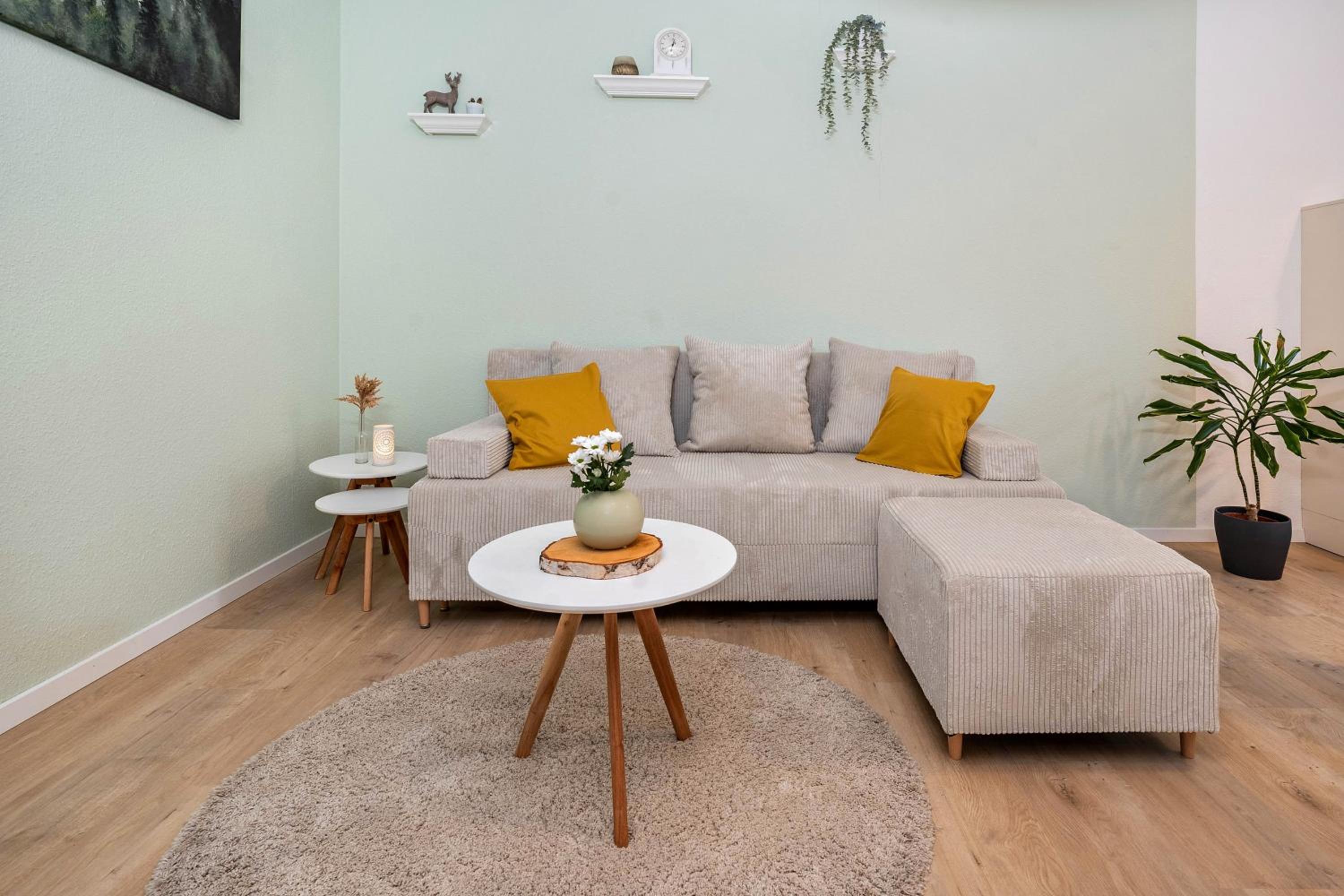 Apartment with Terrace photo 2
