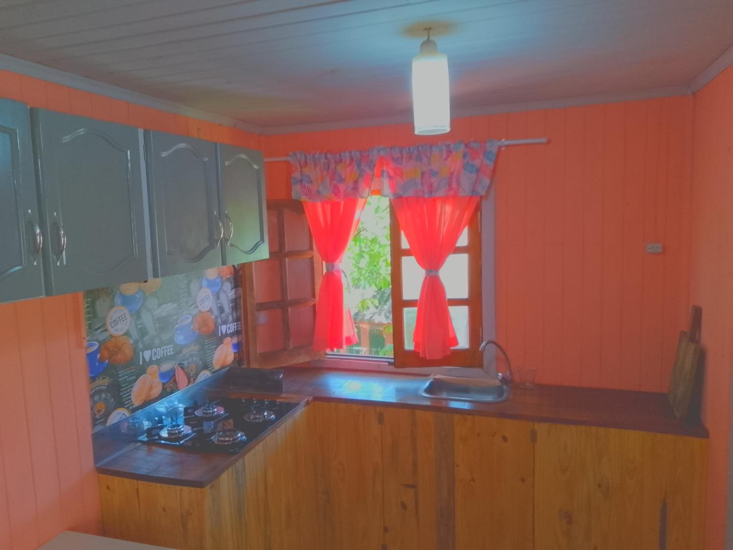 One-Bedroom House photo 3