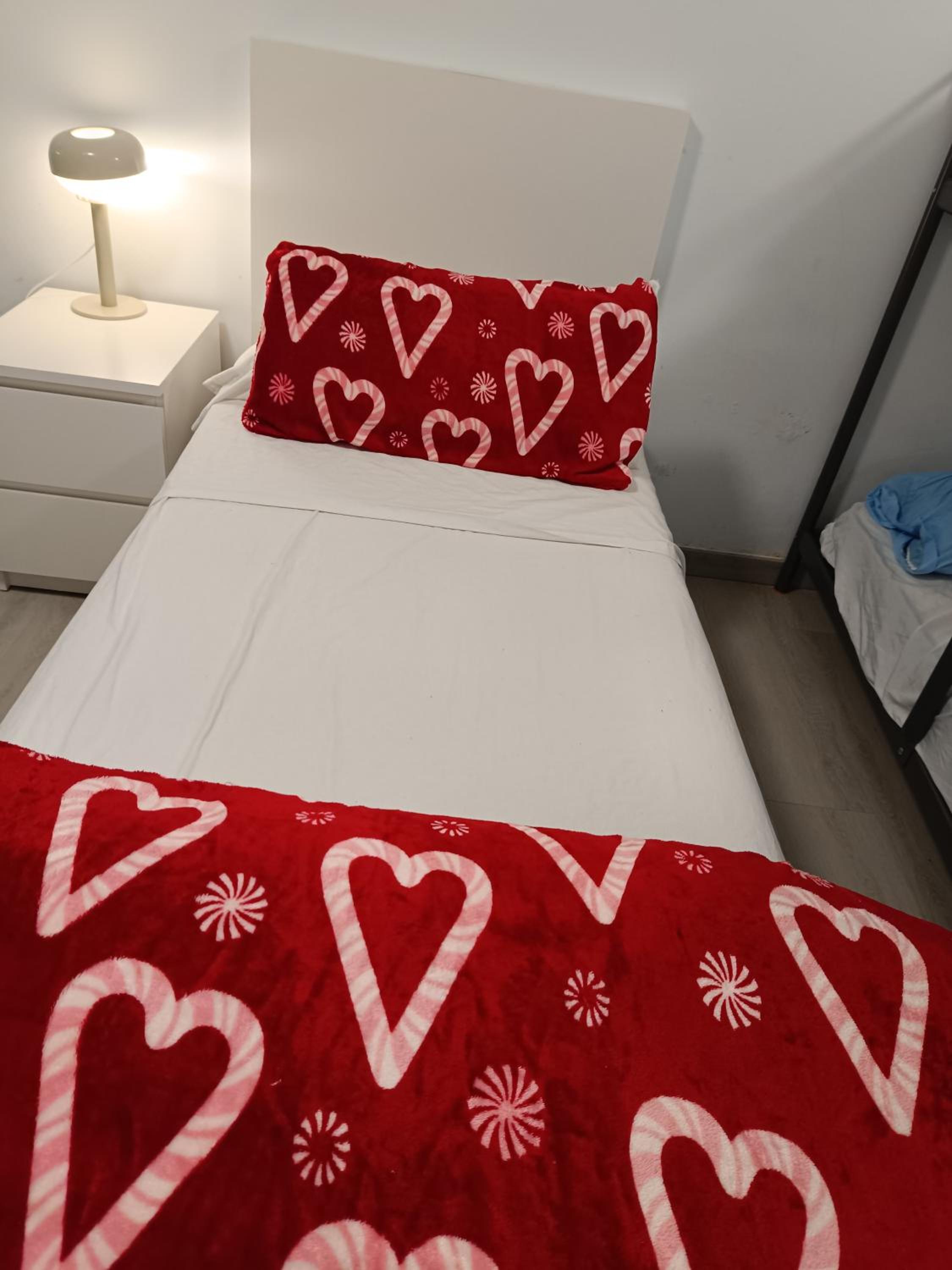 Litera en Dormitorio Masculino.