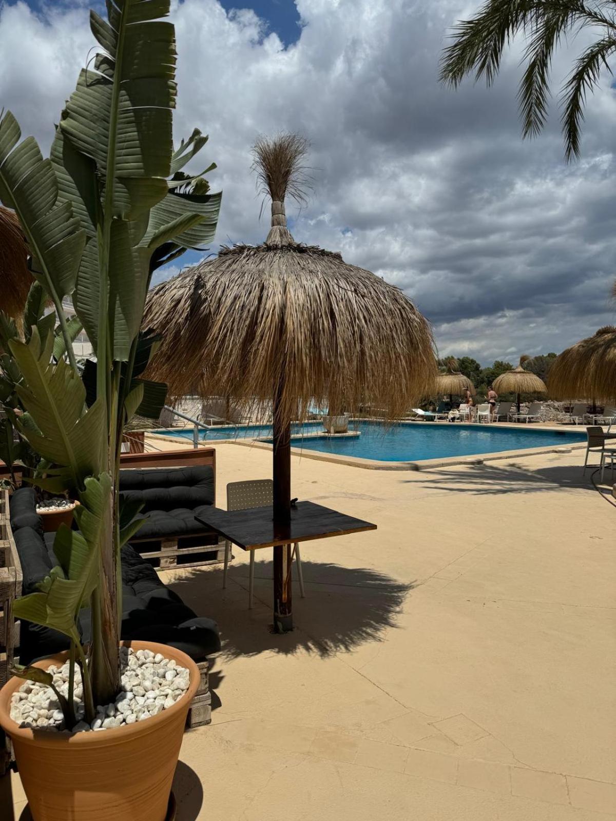 Standard One-Bedroom Apartment with Pool View & Partial Sea View