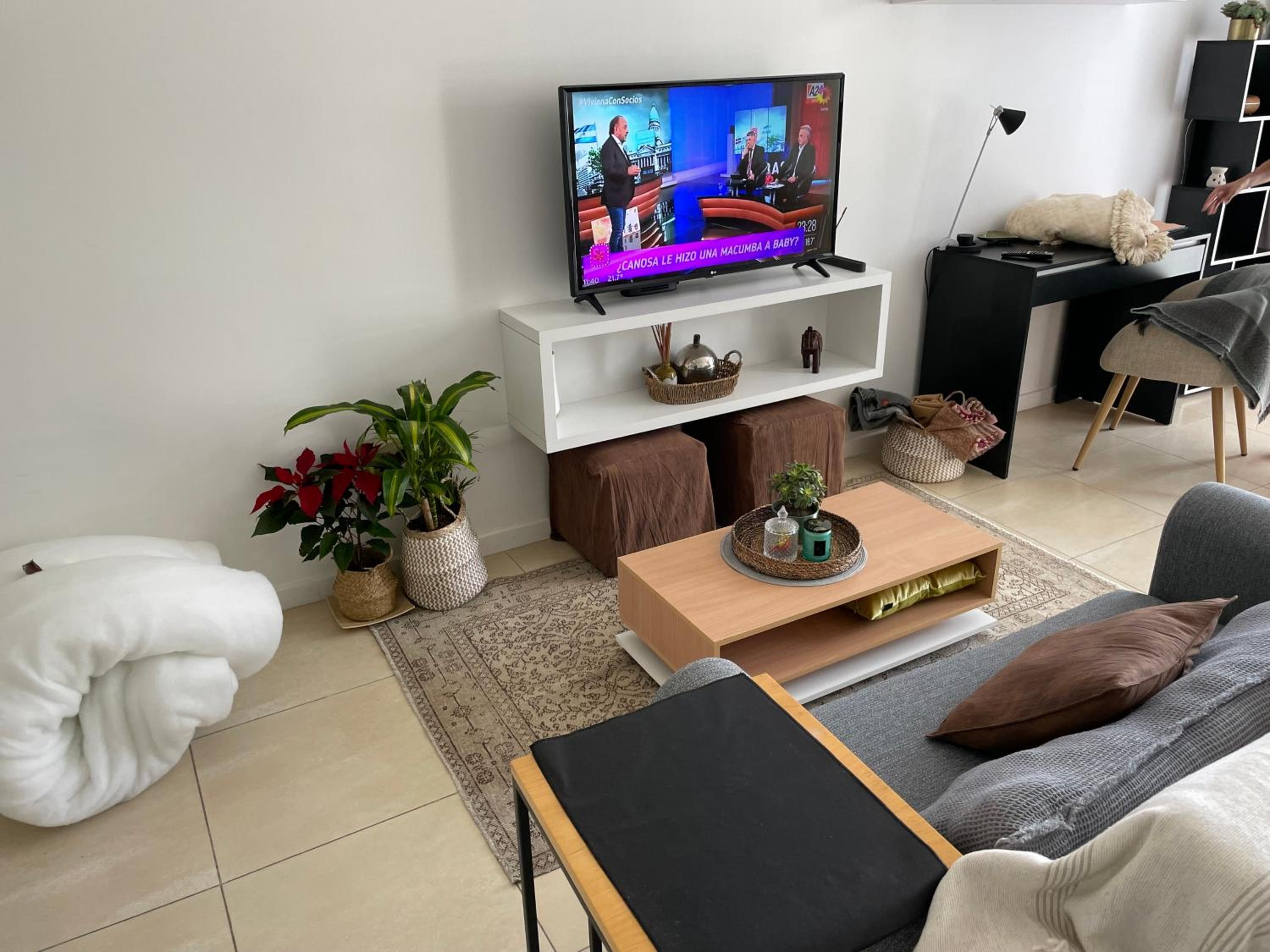 King Studio with Sofa Bed photo 2