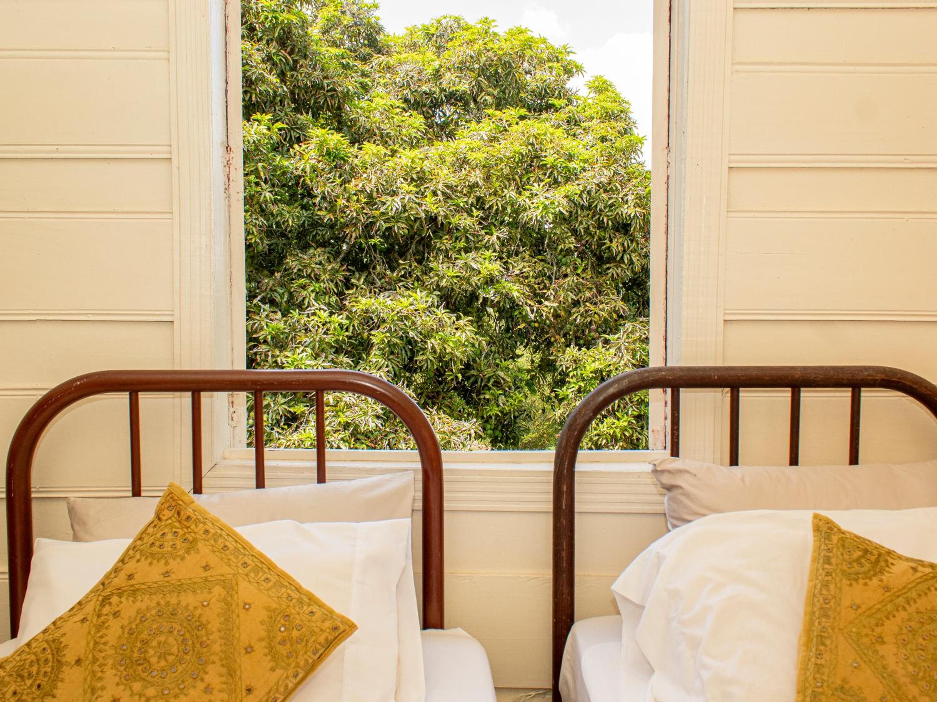 Triple Room With Garden View photo 2
