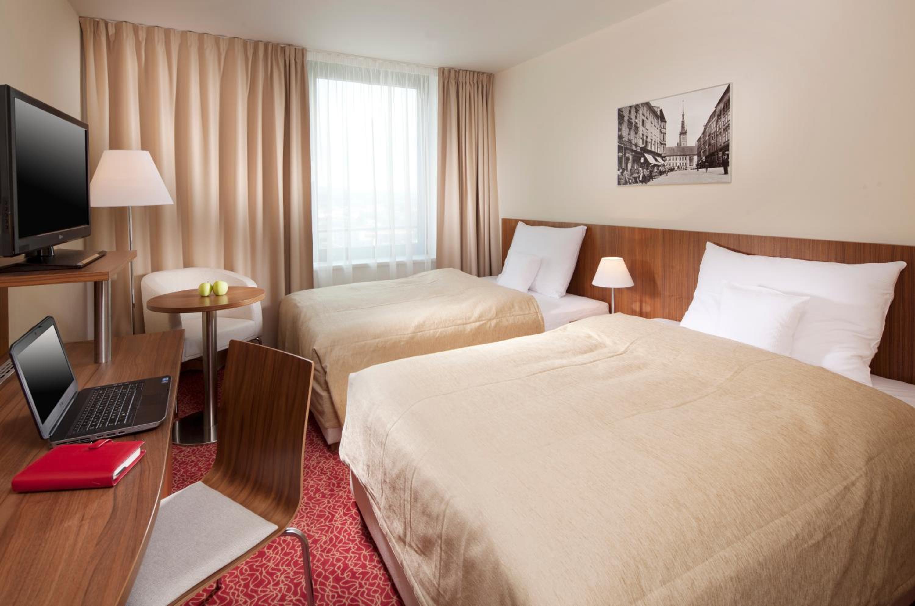 Suite - Photo 2