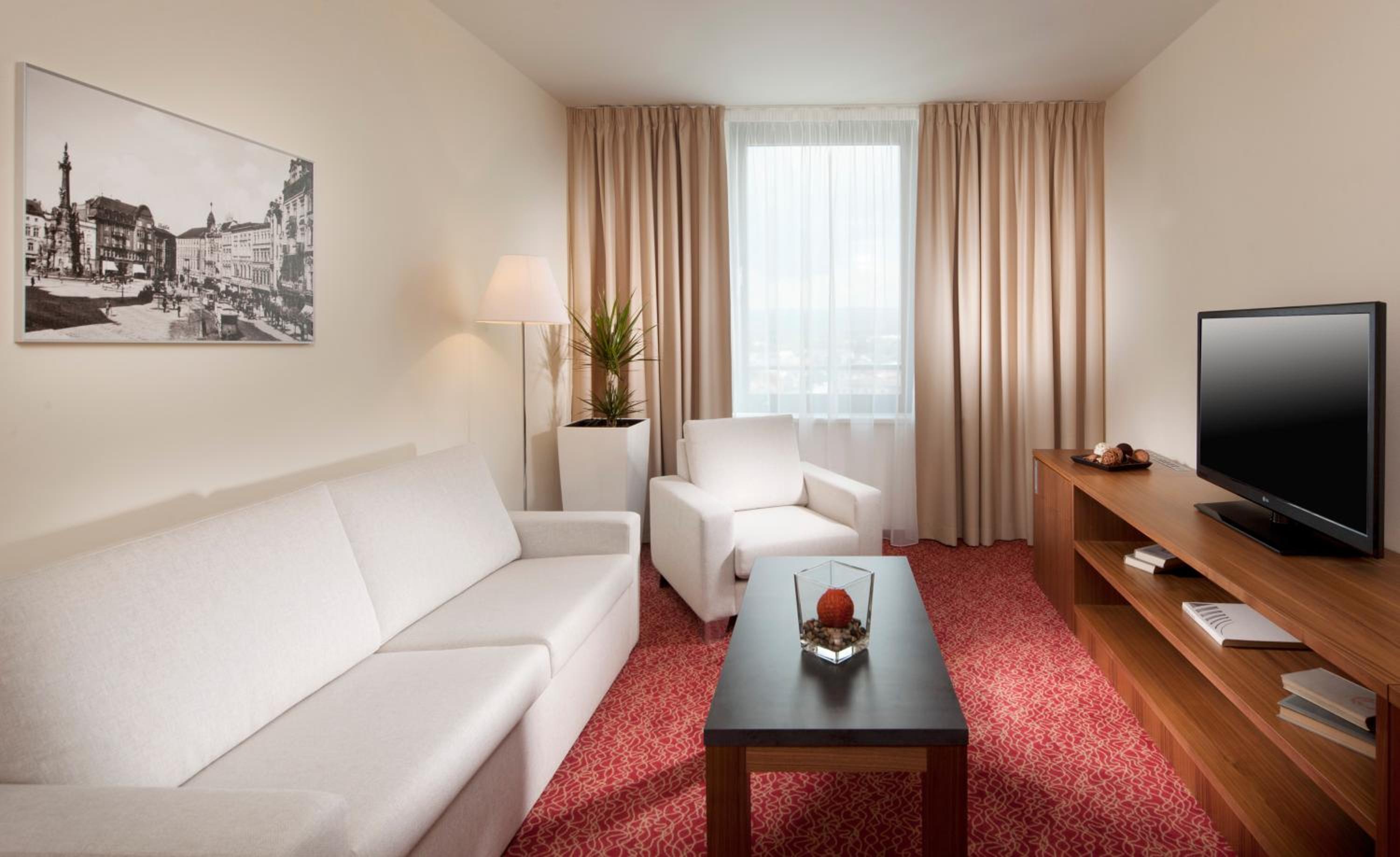 Suite - Photo 3