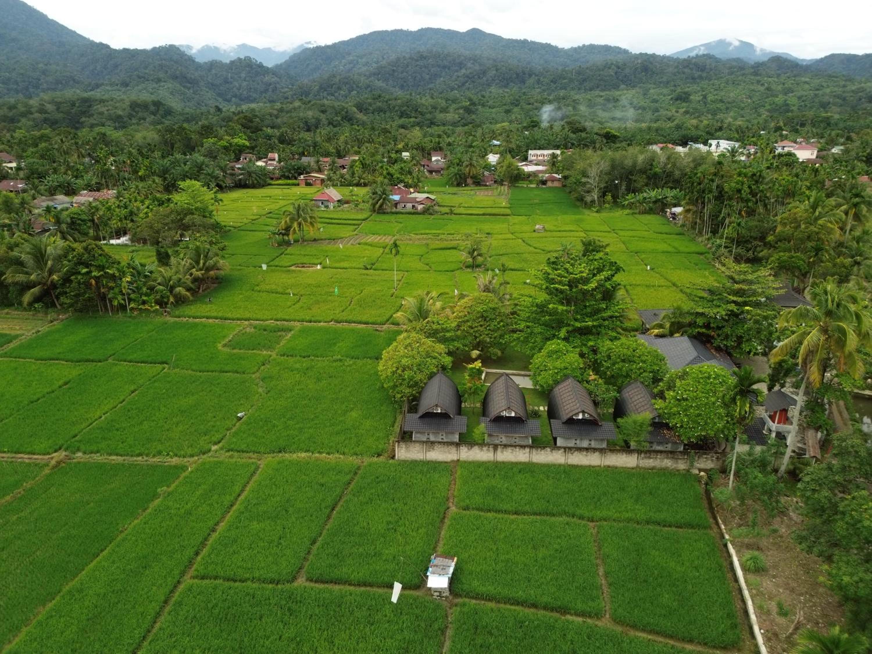 Deluxe Bungalow with Garden View - Photo 6
